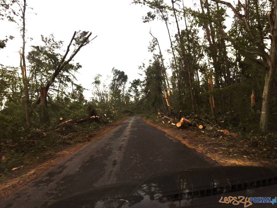 Lotyń - zniszczenia po nawałnicy Foto: Lotyń - zniszczenia po nawałnicy Foto: