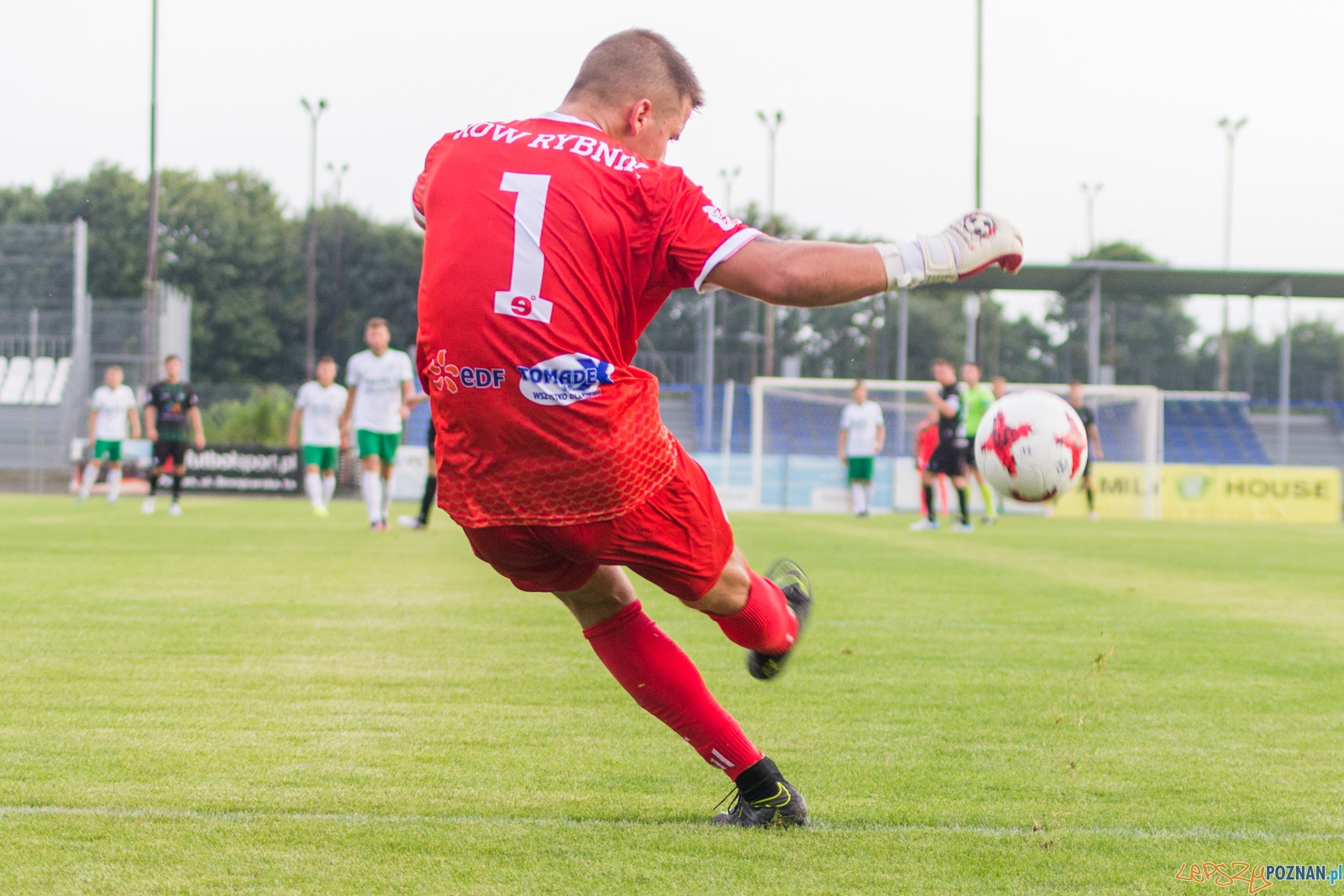 Warta Poznań - ROW Rybnik Foto: lepszyPOZNAN.pl / Ewelina Jaskowiak Warta Poznań - ROW Rybnik Foto: lepszyPOZNAN.pl / Ewelina Jaskowiak