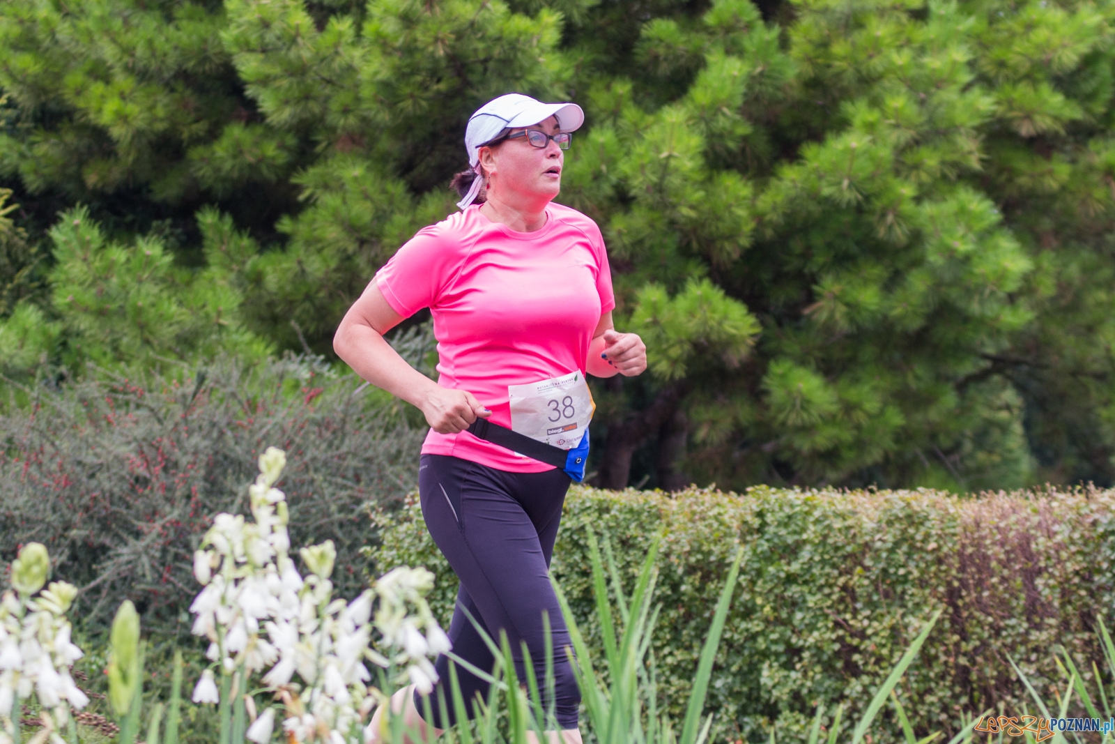 Botaniczna Piatka Foto: lepszyPOZNAN.pl / Ewelina Jaskowiak Botaniczna Piatka Foto: lepszyPOZNAN.pl / Ewelina Jaskowiak