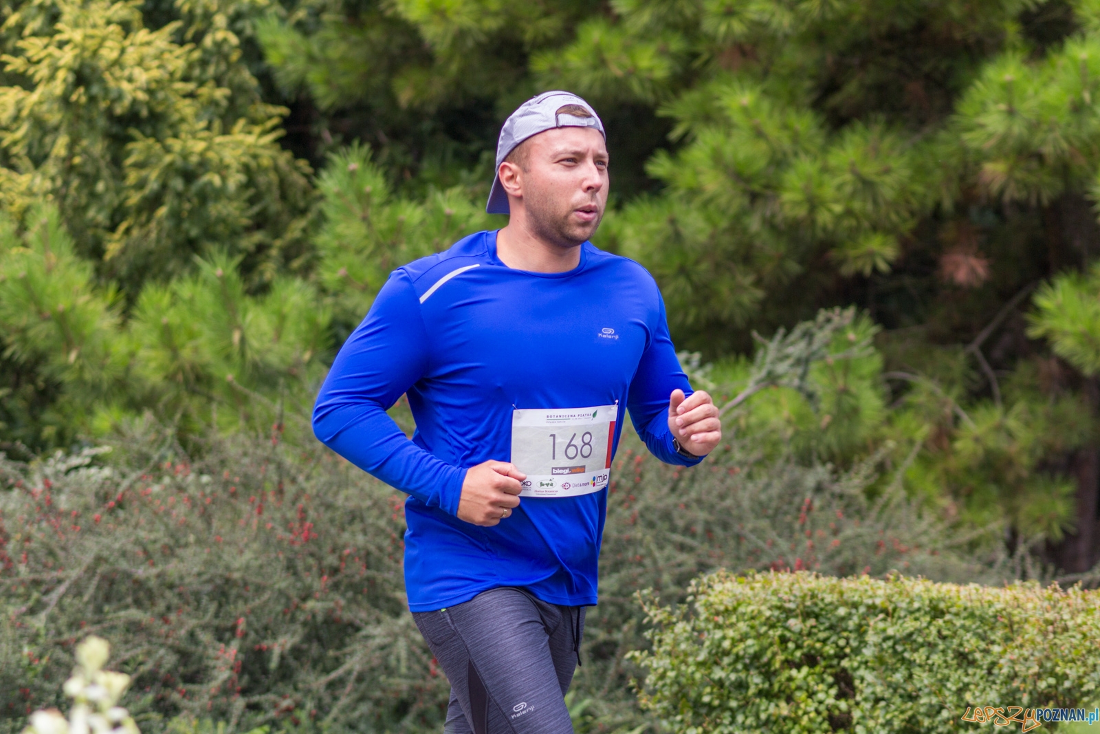 Botaniczna Piatka Foto: lepszyPOZNAN.pl / Ewelina Jaskowiak Botaniczna Piatka Foto: lepszyPOZNAN.pl / Ewelina Jaskowiak