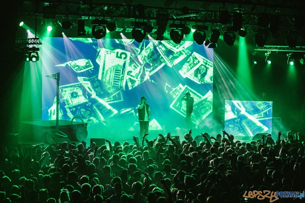 Pro8l3m Foto: Piotr Pytel Pro8l3m Foto: Piotr Pytel