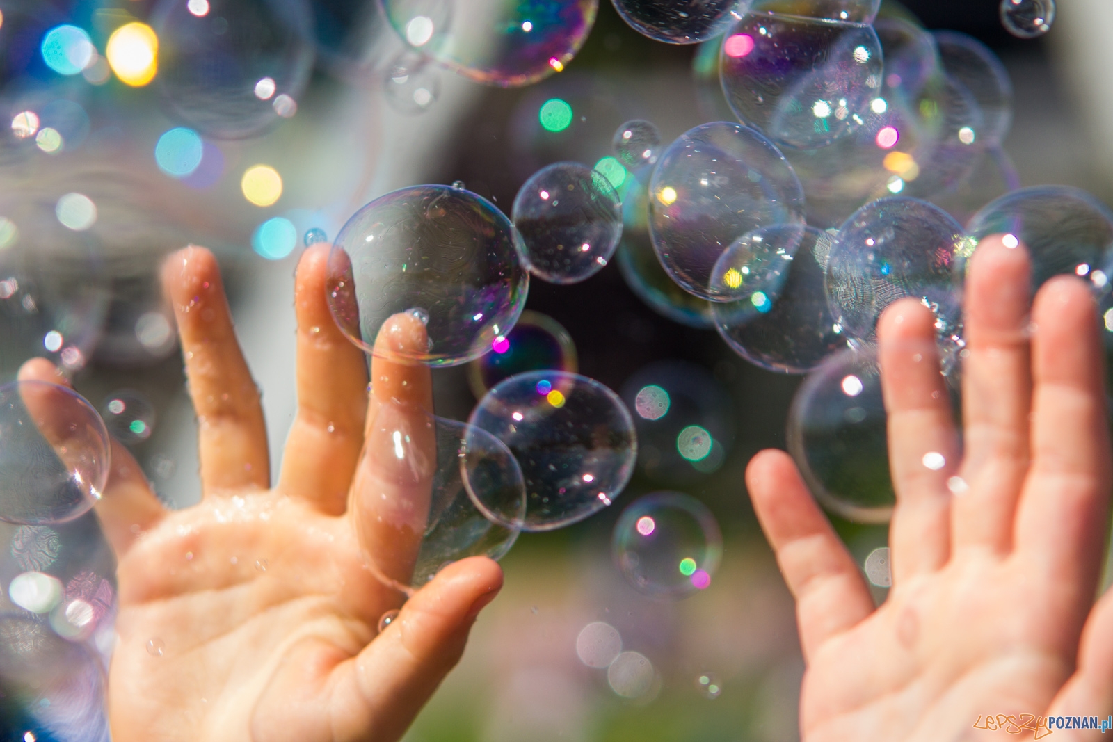 Festiwal Baniek Mydlanych Foto: lepszyPOZNAN.pl / Ewelina Jaskowiak Festiwal Baniek Mydlanych Foto: lepszyPOZNAN.pl / Ewelina Jaskowiak