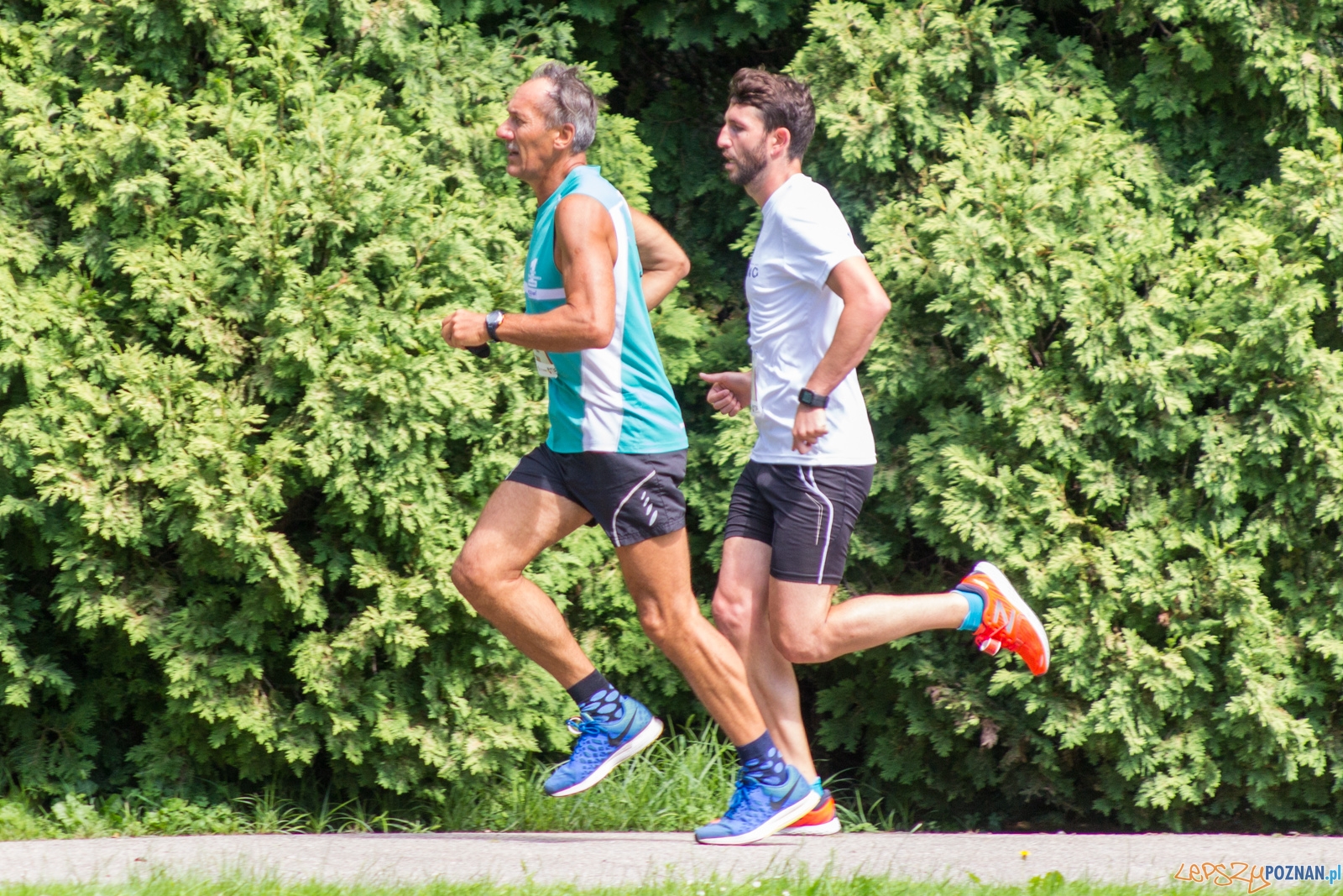 Botaniczna Piatka Foto: lepszyPOZNAN.pl / Ewelina Jaskowiak Botaniczna Piatka Foto: lepszyPOZNAN.pl / Ewelina Jaskowiak