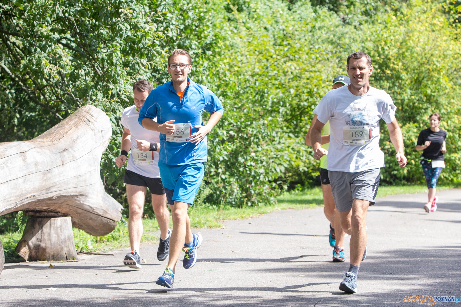 Botaniczna piątka Foto: lepszyPOZNAN.pl/Piotr Rychter Botaniczna piątka Foto: lepszyPOZNAN.pl/Piotr Rychter