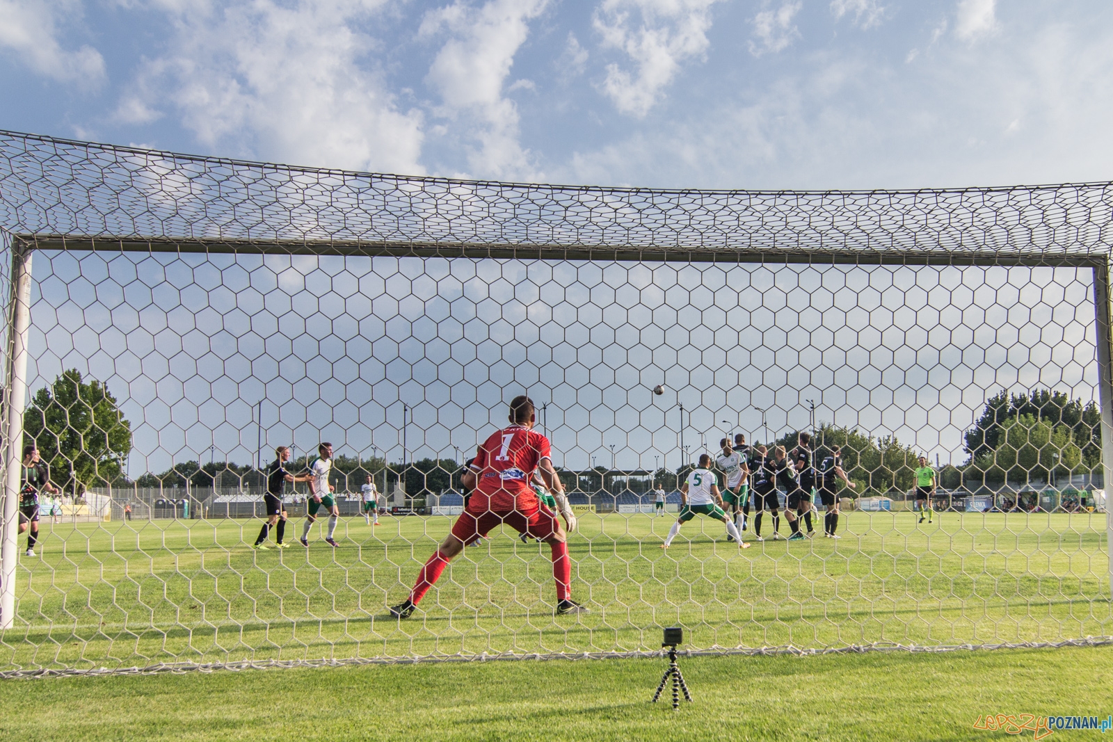 Warta Poznań - ROW Rybnik Foto: lepszyPOZNAN.pl / Ewelina Jaskowiak Warta Poznań - ROW Rybnik Foto: lepszyPOZNAN.pl / Ewelina Jaskowiak