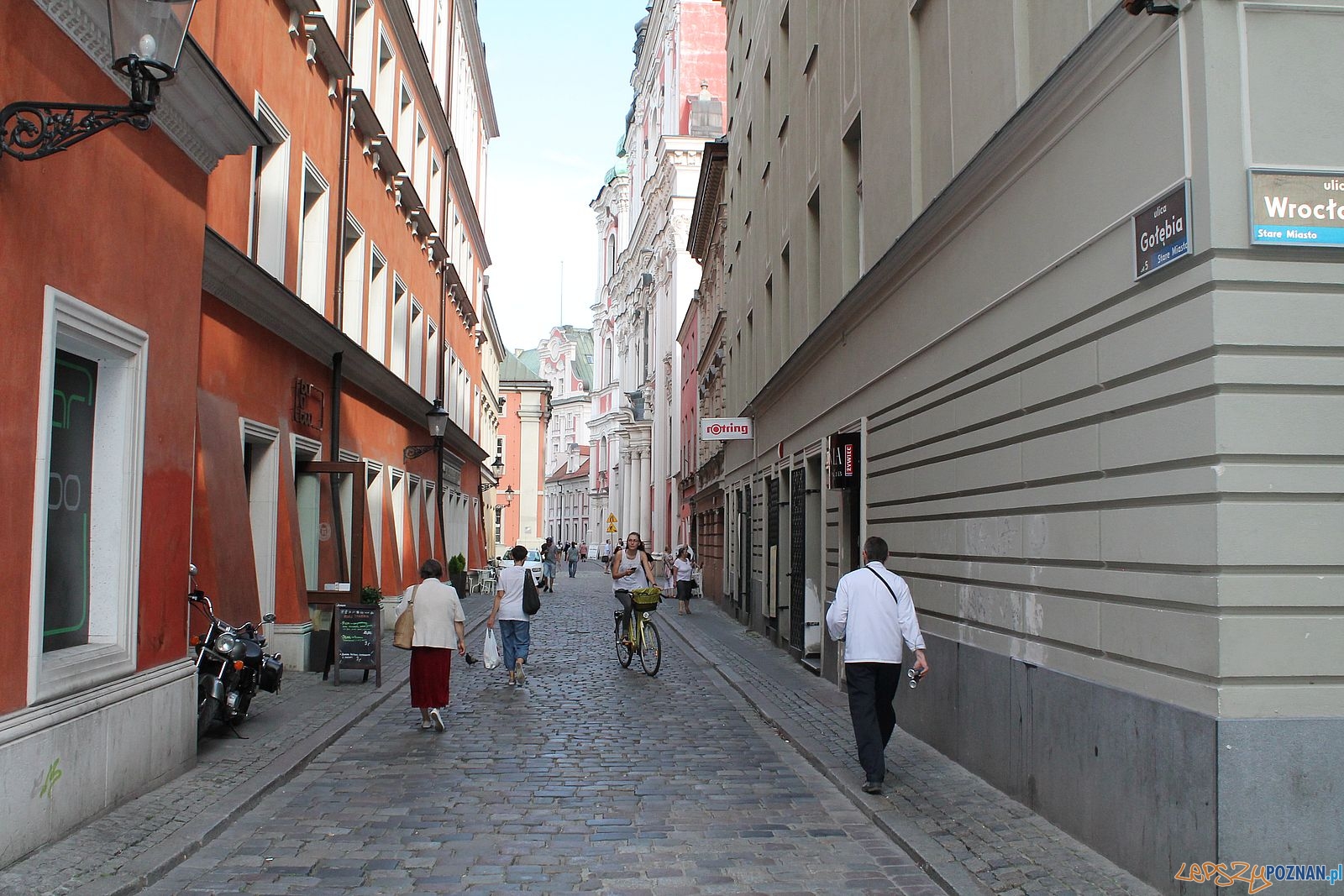 Golębia Foto: T. Dworek / ROSM Golębia Foto: T. Dworek / ROSM