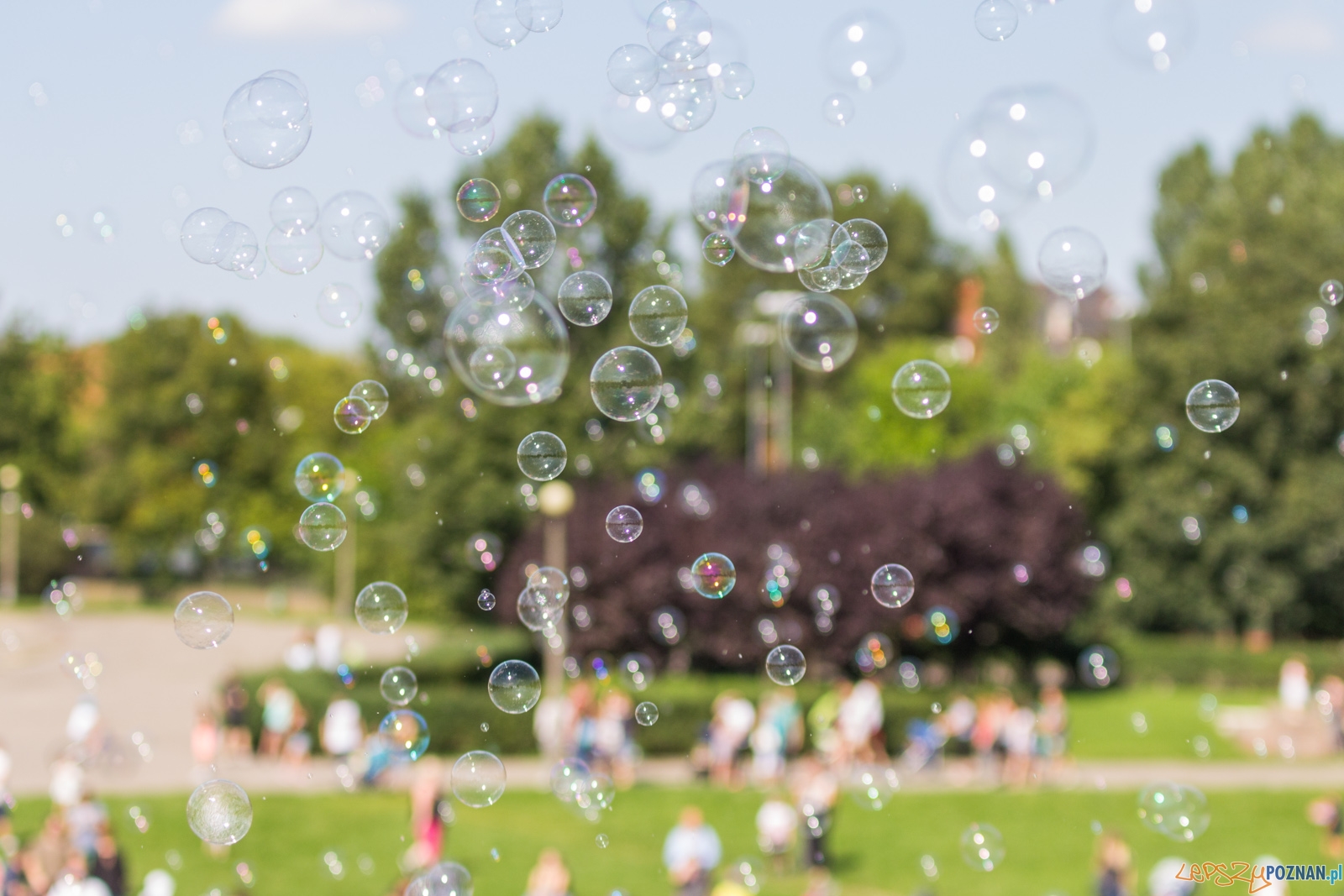 Festiwal Baniek Mydlanych Foto: lepszyPOZNAN.pl / Ewelina Jaskowiak Festiwal Baniek Mydlanych Foto: lepszyPOZNAN.pl / Ewelina Jaskowiak