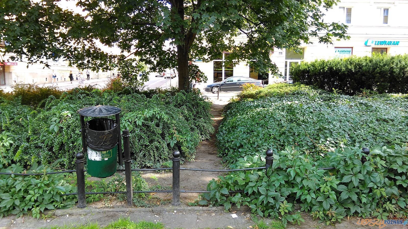 Plac Ratajskiego (8) Foto: T. Dworek / ROSM Plac Ratajskiego (8) Foto: T. Dworek / ROSM