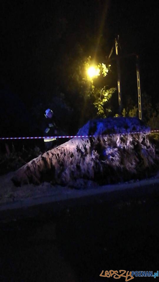 Przewrócone podczas burzy drzewo zerwało linie energetyczne Foto: OSP Biskupice Przewrócone podczas burzy drzewo zerwało linie energetyczne Foto: OSP Biskupice