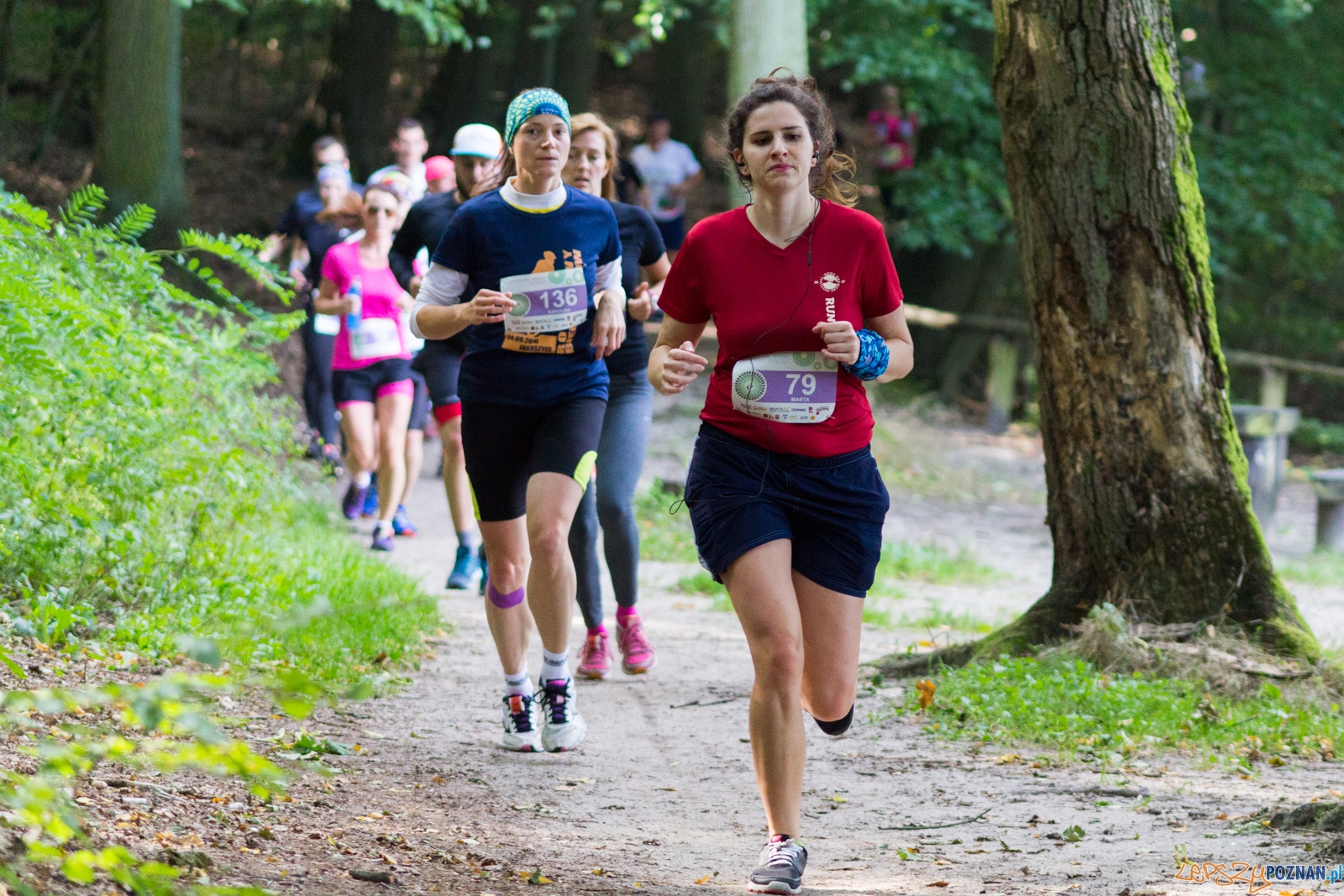 Forest Run Foto: lepszyPOZNAN.pl / Ewelina Jaskowiak Forest Run Foto: lepszyPOZNAN.pl / Ewelina Jaskowiak