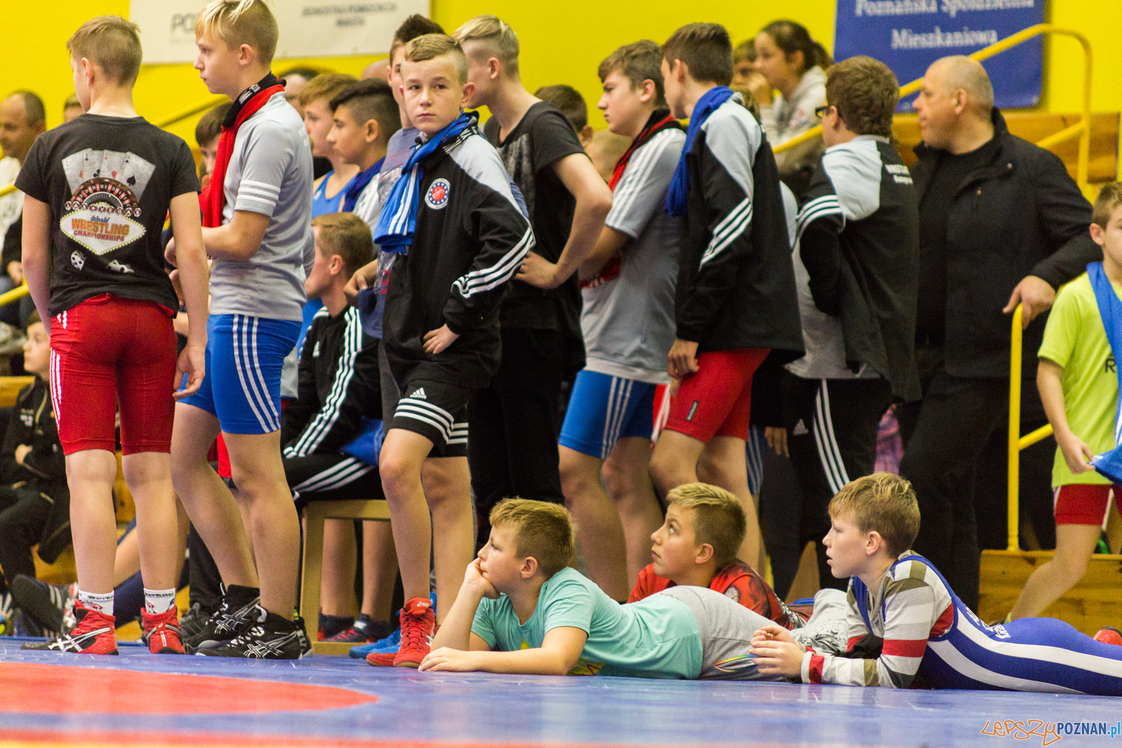 Międzywojewódzkie Mistrzostwa Młodzików Zapasy Styl Klasyczn Foto: lepszyPOZNAN.pl / Ewelina Jaskowiak Międzywojewódzkie Mistrzostwa Młodzików Zapasy Styl Klasyczn Foto: lepszyPOZNAN.pl / Ewelina Jaskowiak
