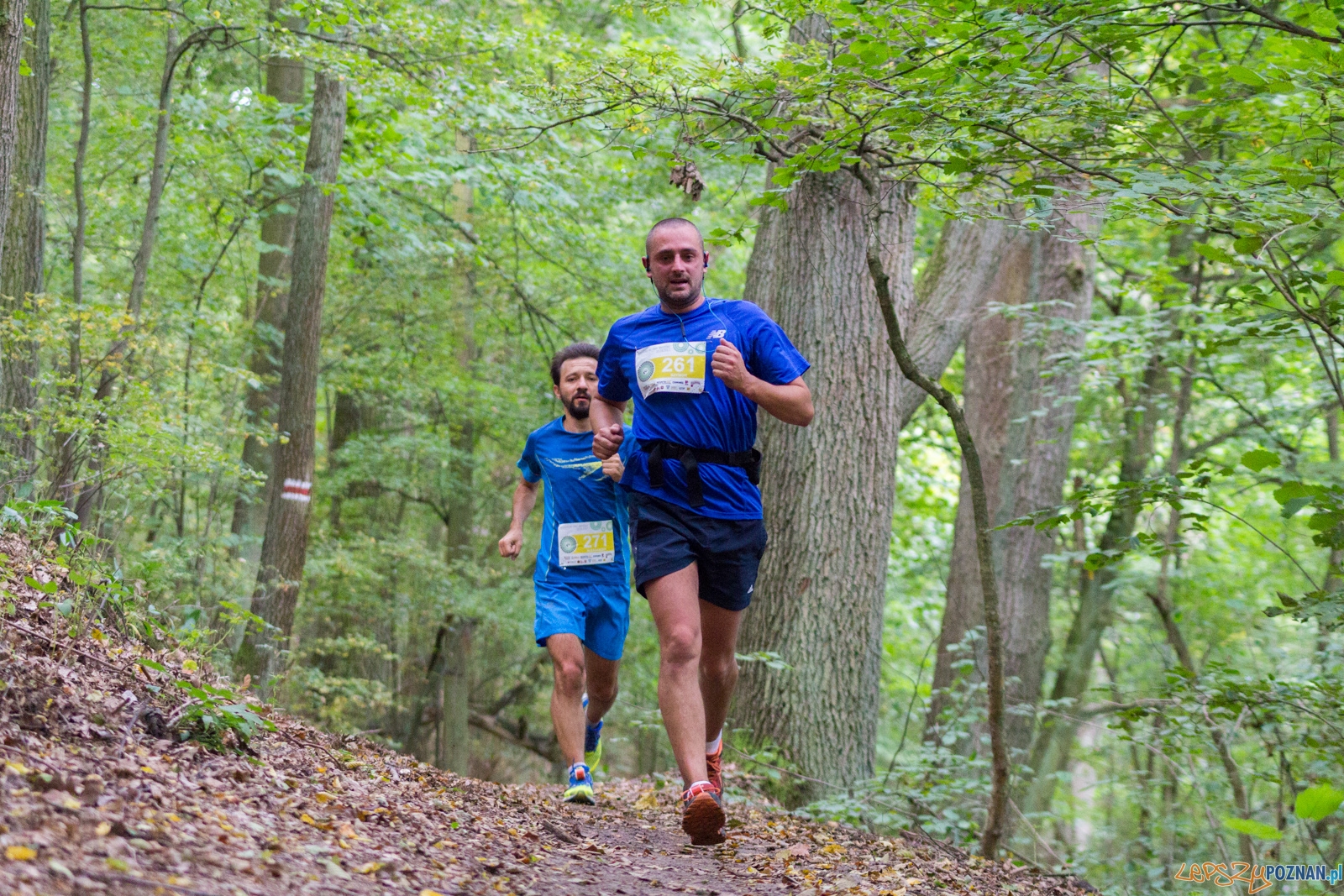 Forest Run Foto: lepszyPOZNAN.pl / Ewelina Jaskowiak Forest Run Foto: lepszyPOZNAN.pl / Ewelina Jaskowiak