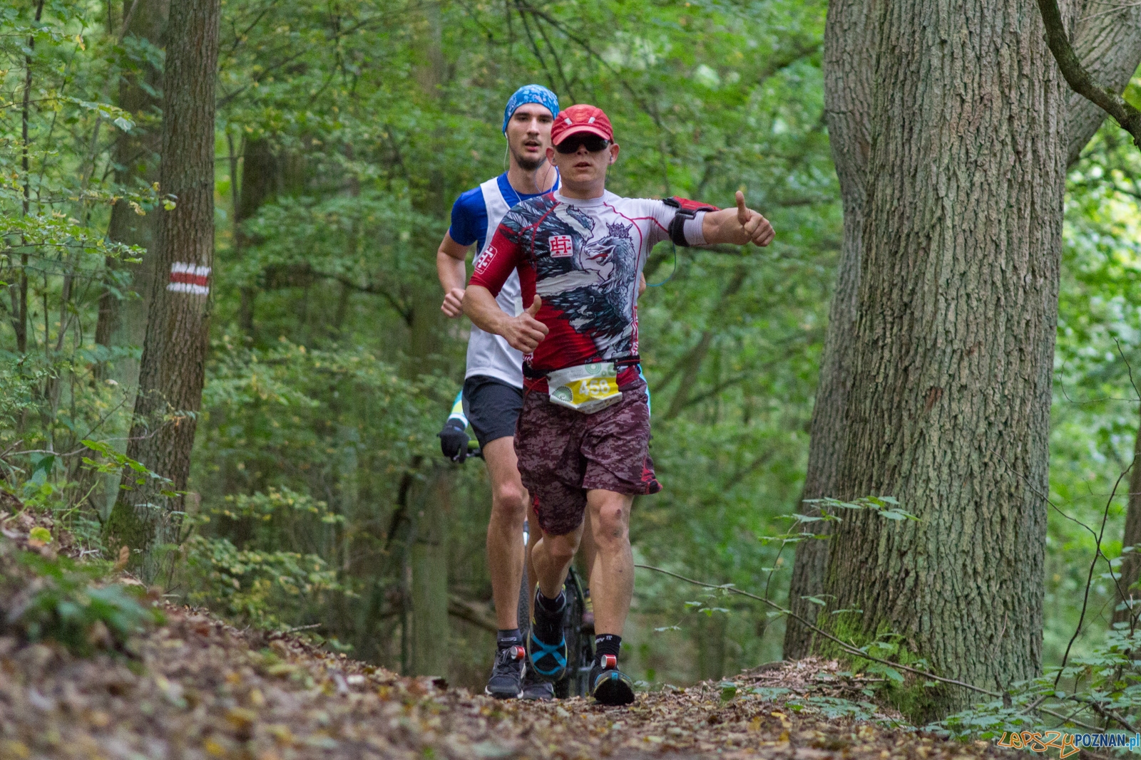 Forest Run Foto: lepszyPOZNAN.pl / Ewelina Jaskowiak Forest Run Foto: lepszyPOZNAN.pl / Ewelina Jaskowiak