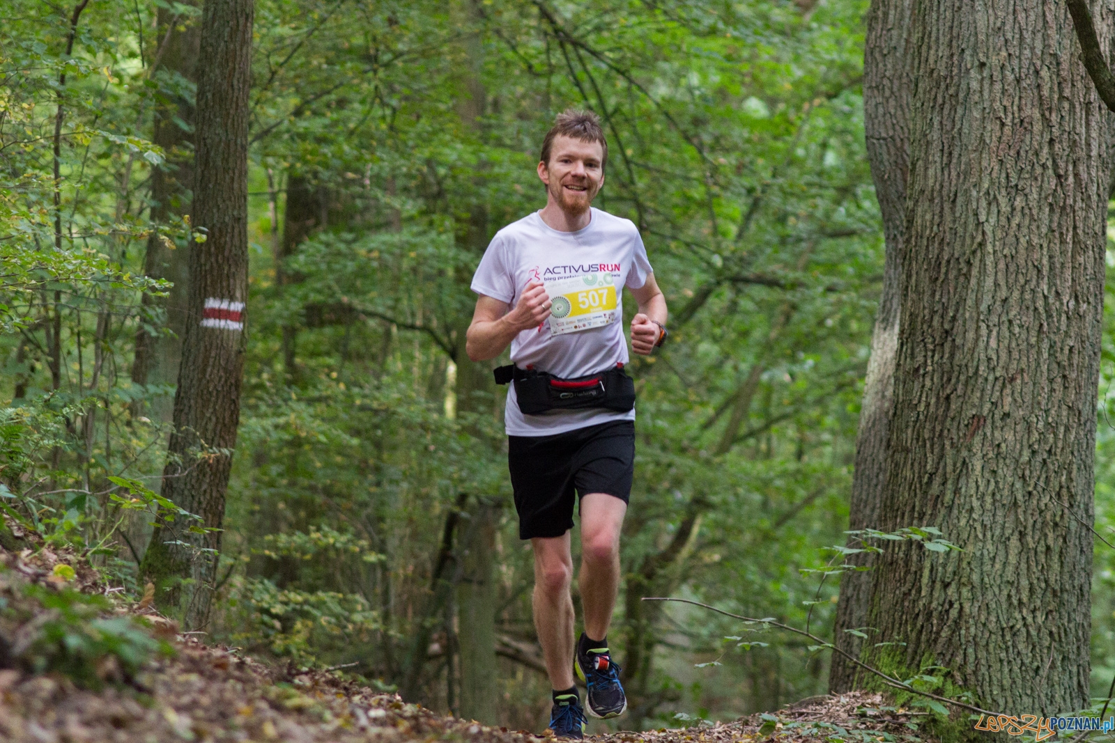 Forest Run Foto: lepszyPOZNAN.pl / Ewelina Jaskowiak Forest Run Foto: lepszyPOZNAN.pl / Ewelina Jaskowiak