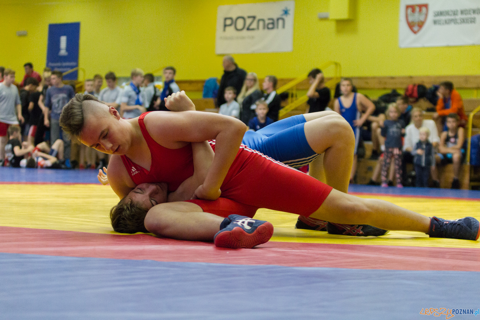 Międzywojewódzkie Mistrzostwa Młodzików Zapasy Styl Klasyczn Foto: lepszyPOZNAN.pl / Ewelina Jaskowiak Międzywojewódzkie Mistrzostwa Młodzików Zapasy Styl Klasyczn Foto: lepszyPOZNAN.pl / Ewelina Jaskowiak