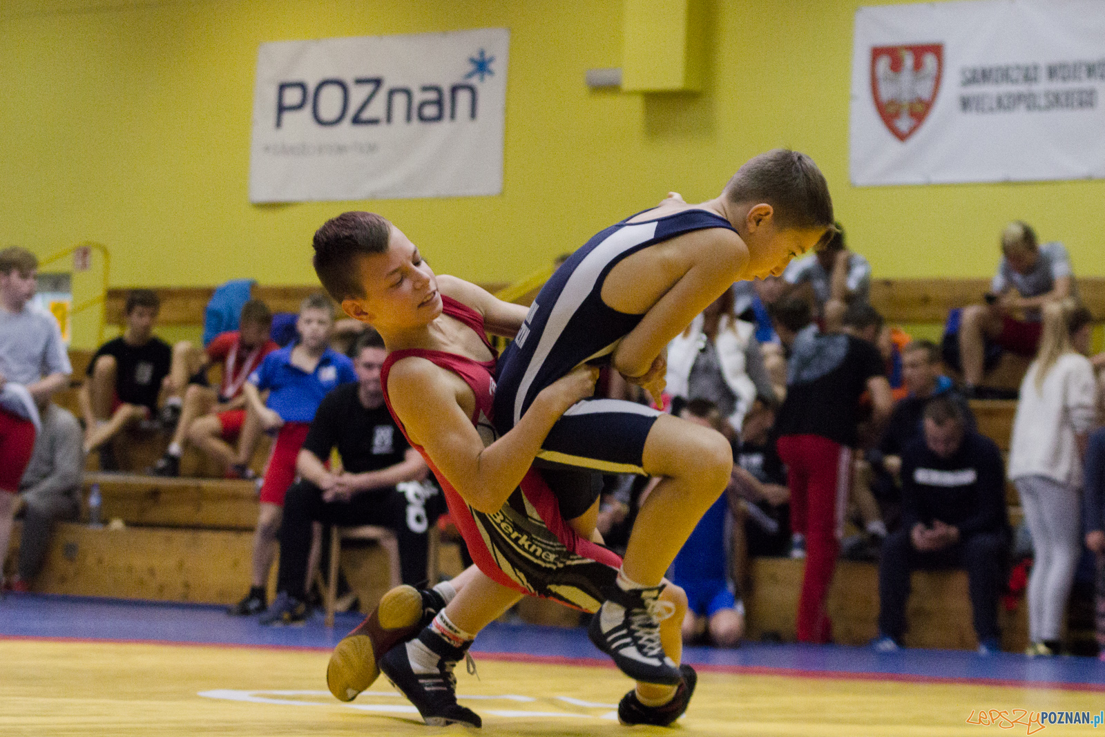 Międzywojewódzkie Mistrzostwa Młodzików Zapasy Styl Klasyczn Foto: lepszyPOZNAN.pl / Ewelina Jaskowiak Międzywojewódzkie Mistrzostwa Młodzików Zapasy Styl Klasyczn Foto: lepszyPOZNAN.pl / Ewelina Jaskowiak