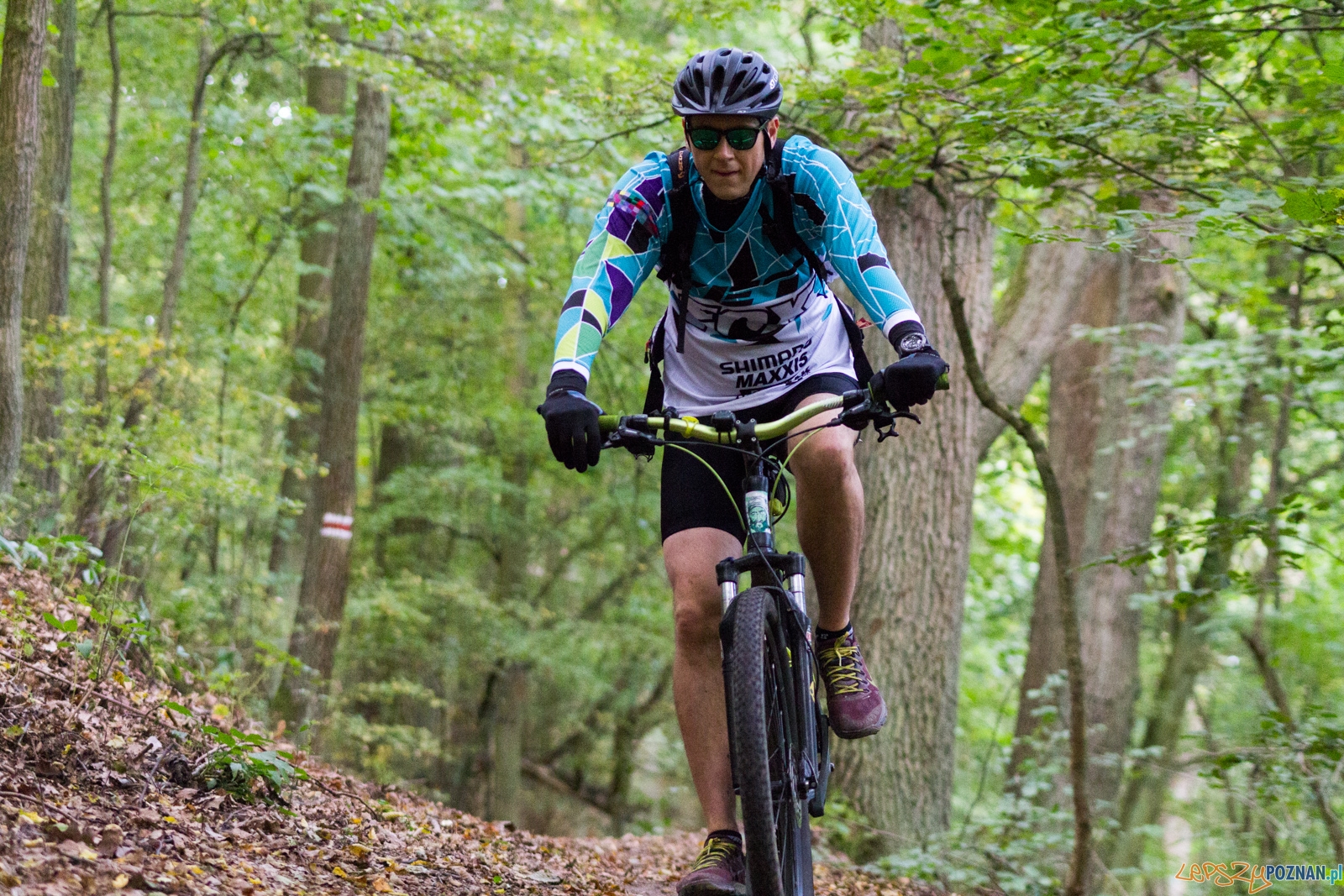 Forest Run Foto: lepszyPOZNAN.pl / Ewelina Jaskowiak Forest Run Foto: lepszyPOZNAN.pl / Ewelina Jaskowiak