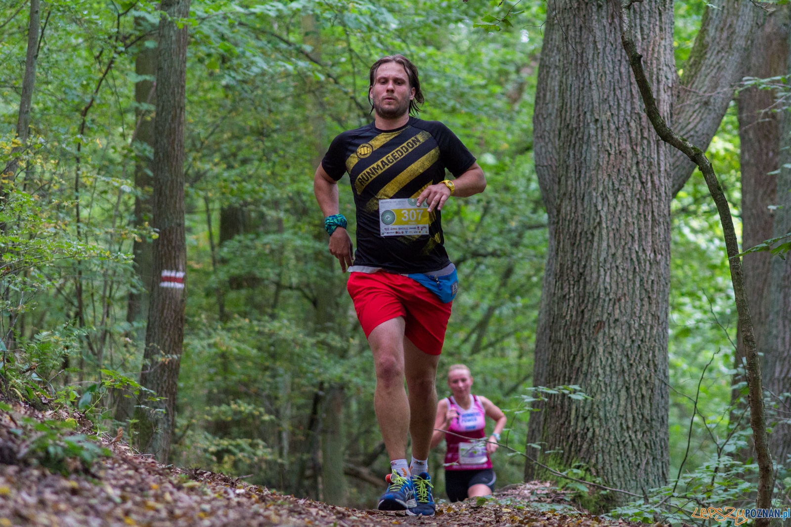 Forest Run Foto: lepszyPOZNAN.pl / Ewelina Jaskowiak Forest Run Foto: lepszyPOZNAN.pl / Ewelina Jaskowiak