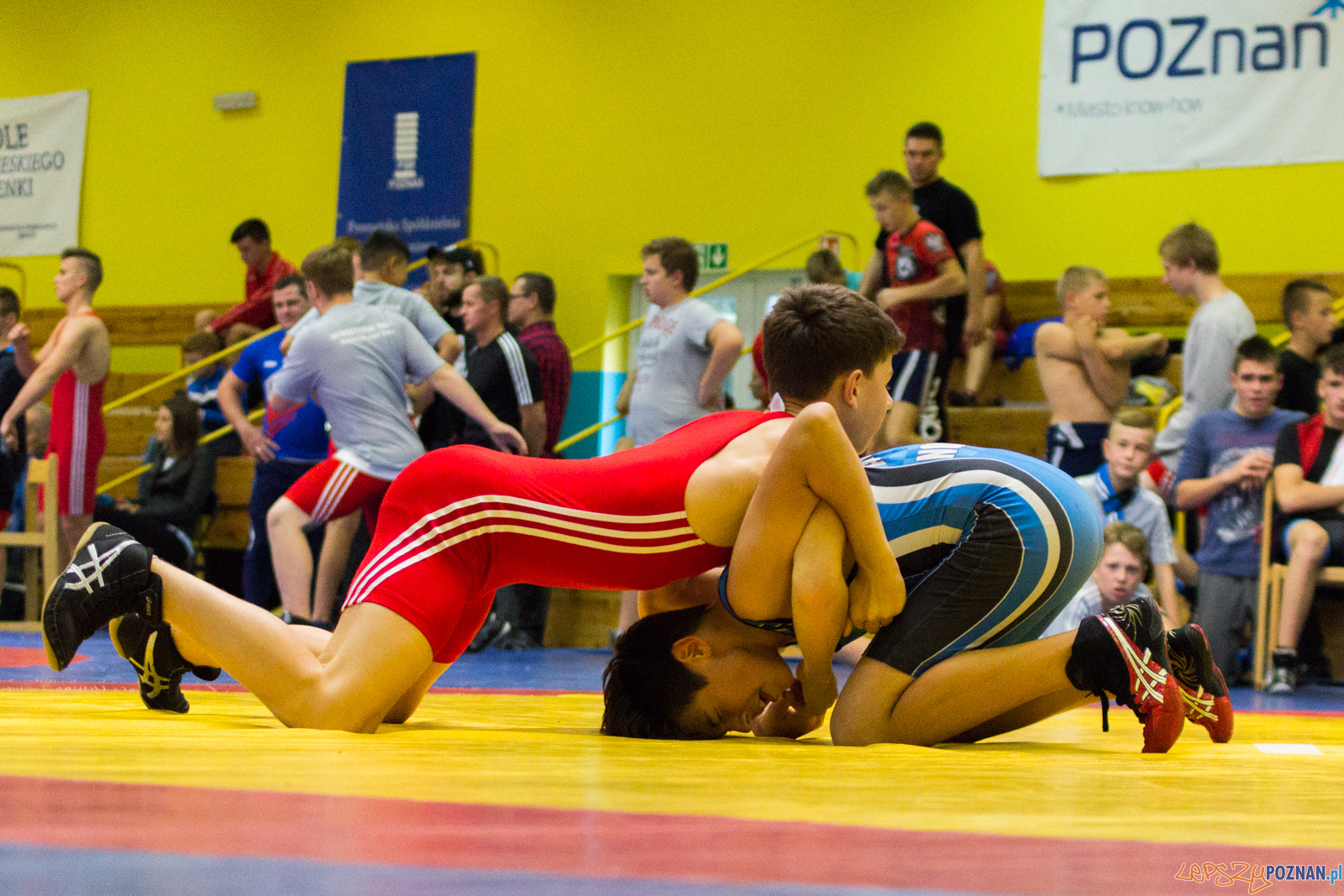 Międzywojewódzkie Mistrzostwa Młodzików Zapasy Styl Klasyczn Foto: lepszyPOZNAN.pl / Ewelina Jaskowiak Międzywojewódzkie Mistrzostwa Młodzików Zapasy Styl Klasyczn Foto: lepszyPOZNAN.pl / Ewelina Jaskowiak