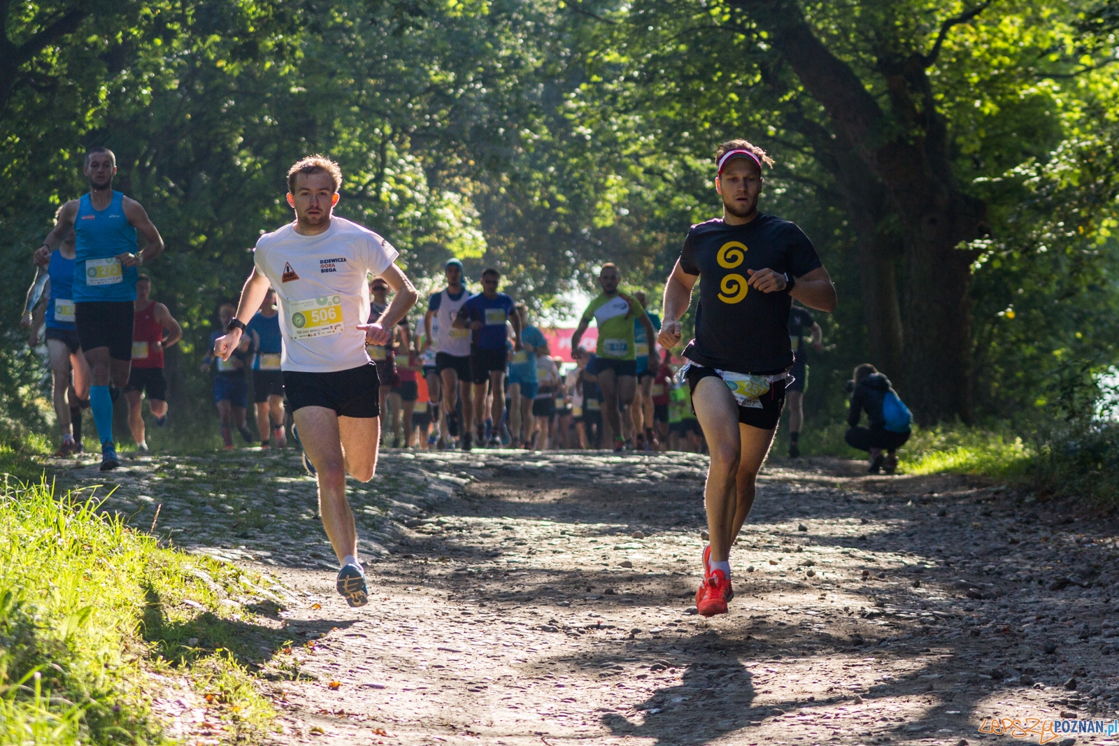 Forest Run Foto: lepszyPOZNAN.pl / Ewelina Jaskowiak Forest Run Foto: lepszyPOZNAN.pl / Ewelina Jaskowiak