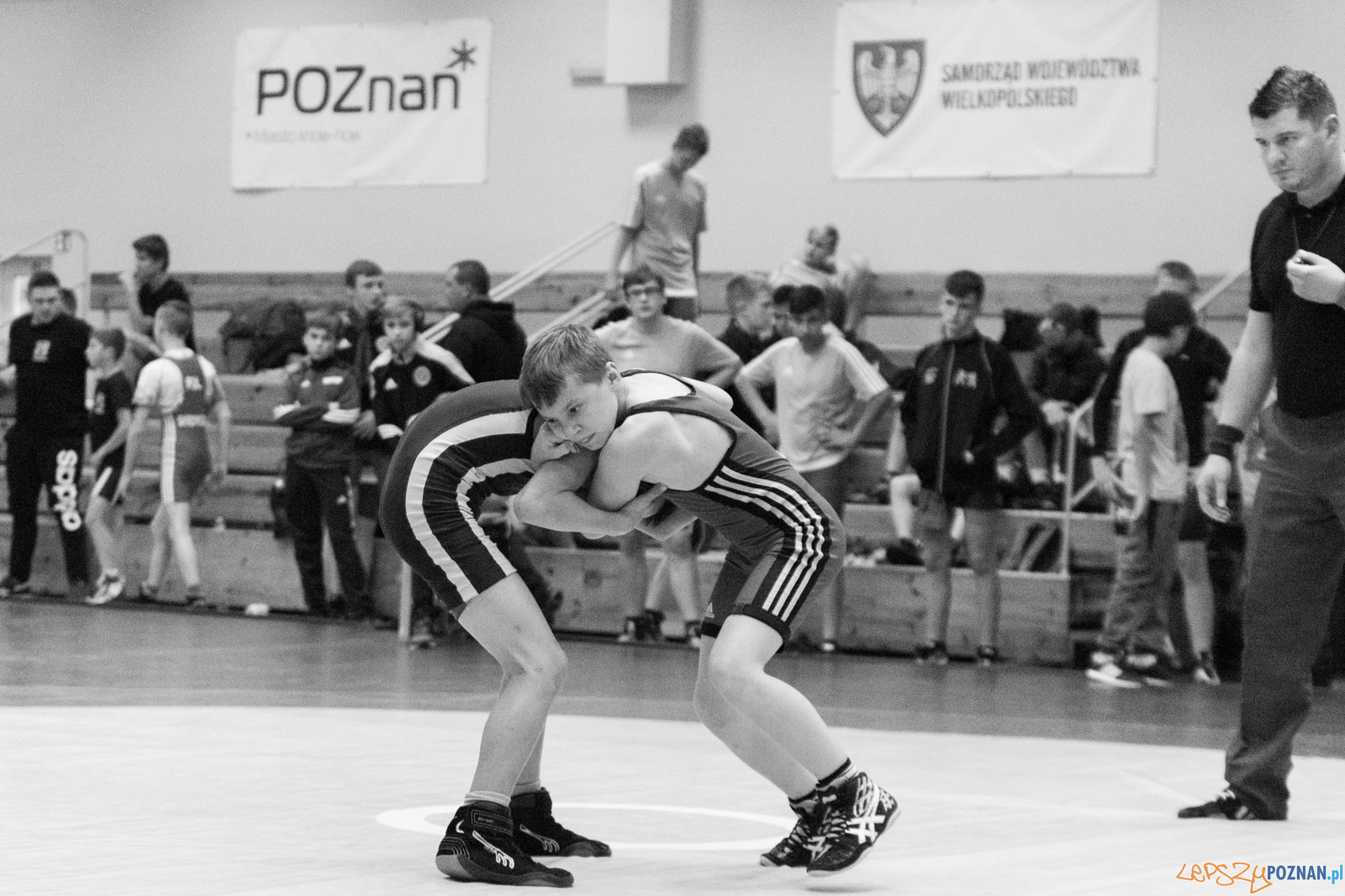 Międzywojewódzkie Mistrzostwa Młodzików Zapasy Styl Klasyczn Foto: lepszyPOZNAN.pl / Ewelina Jaskowiak Międzywojewódzkie Mistrzostwa Młodzików Zapasy Styl Klasyczn Foto: lepszyPOZNAN.pl / Ewelina Jaskowiak