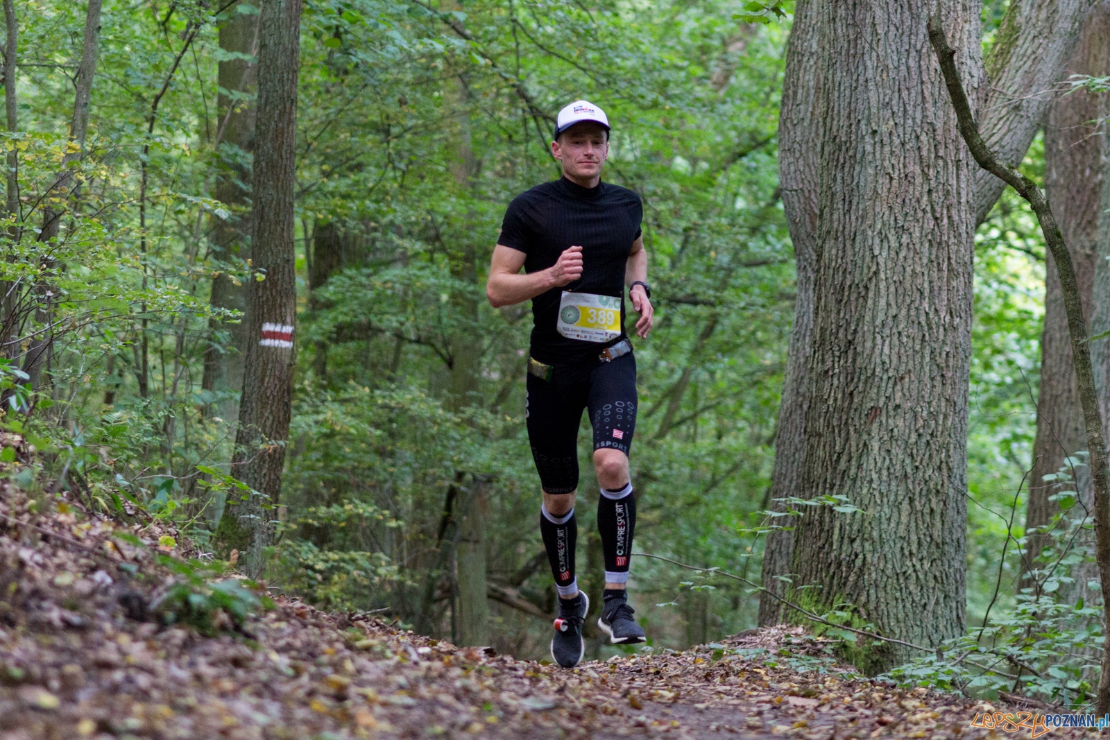 Forest Run Foto: lepszyPOZNAN.pl / Ewelina Jaskowiak Forest Run Foto: lepszyPOZNAN.pl / Ewelina Jaskowiak