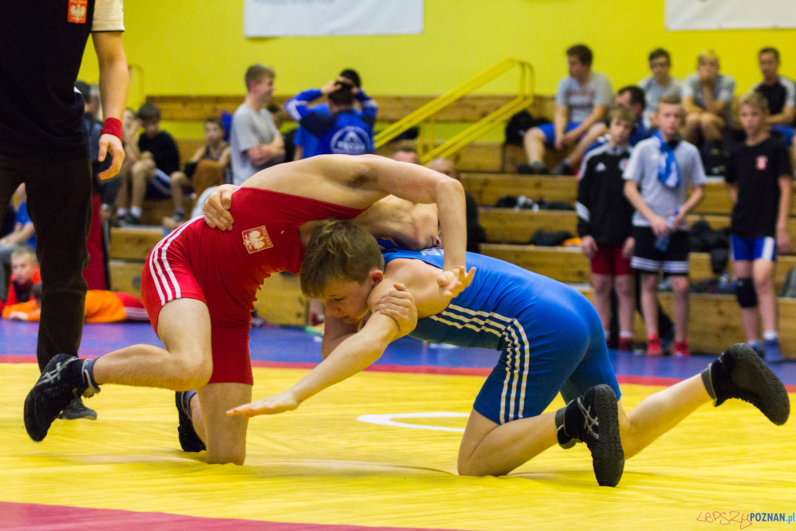 Międzywojewódzkie Mistrzostwa Młodzików Zapasy Styl Klasyczn Foto: lepszyPOZNAN.pl / Ewelina Jaskowiak Międzywojewódzkie Mistrzostwa Młodzików Zapasy Styl Klasyczn Foto: lepszyPOZNAN.pl / Ewelina Jaskowiak