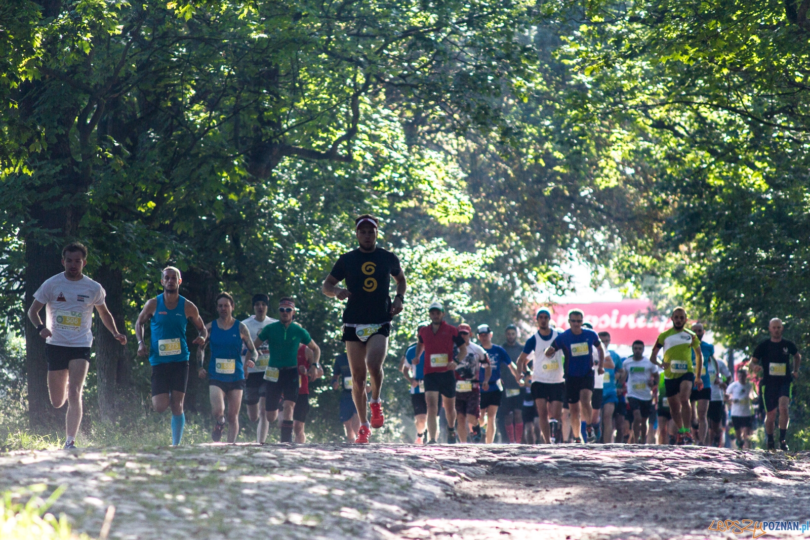 Forest Run Foto: lepszyPOZNAN.pl / Ewelina Jaskowiak Forest Run Foto: lepszyPOZNAN.pl / Ewelina Jaskowiak