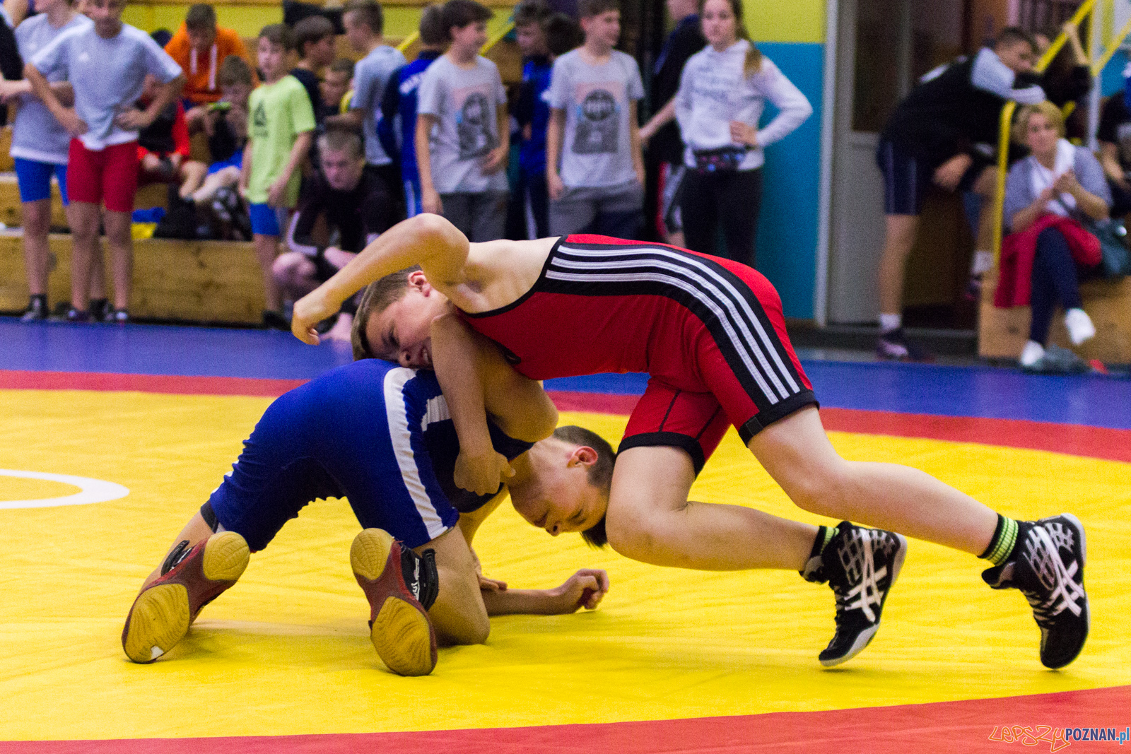 Międzywojewódzkie Mistrzostwa Młodzików Zapasy Styl Klasyczn Foto: lepszyPOZNAN.pl / Ewelina Jaskowiak Międzywojewódzkie Mistrzostwa Młodzików Zapasy Styl Klasyczn Foto: lepszyPOZNAN.pl / Ewelina Jaskowiak