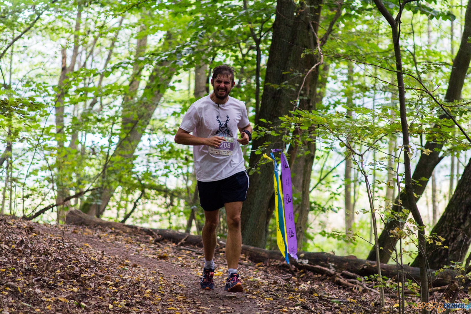Forest Run Foto: lepszyPOZNAN.pl / Ewelina Jaskowiak Forest Run Foto: lepszyPOZNAN.pl / Ewelina Jaskowiak