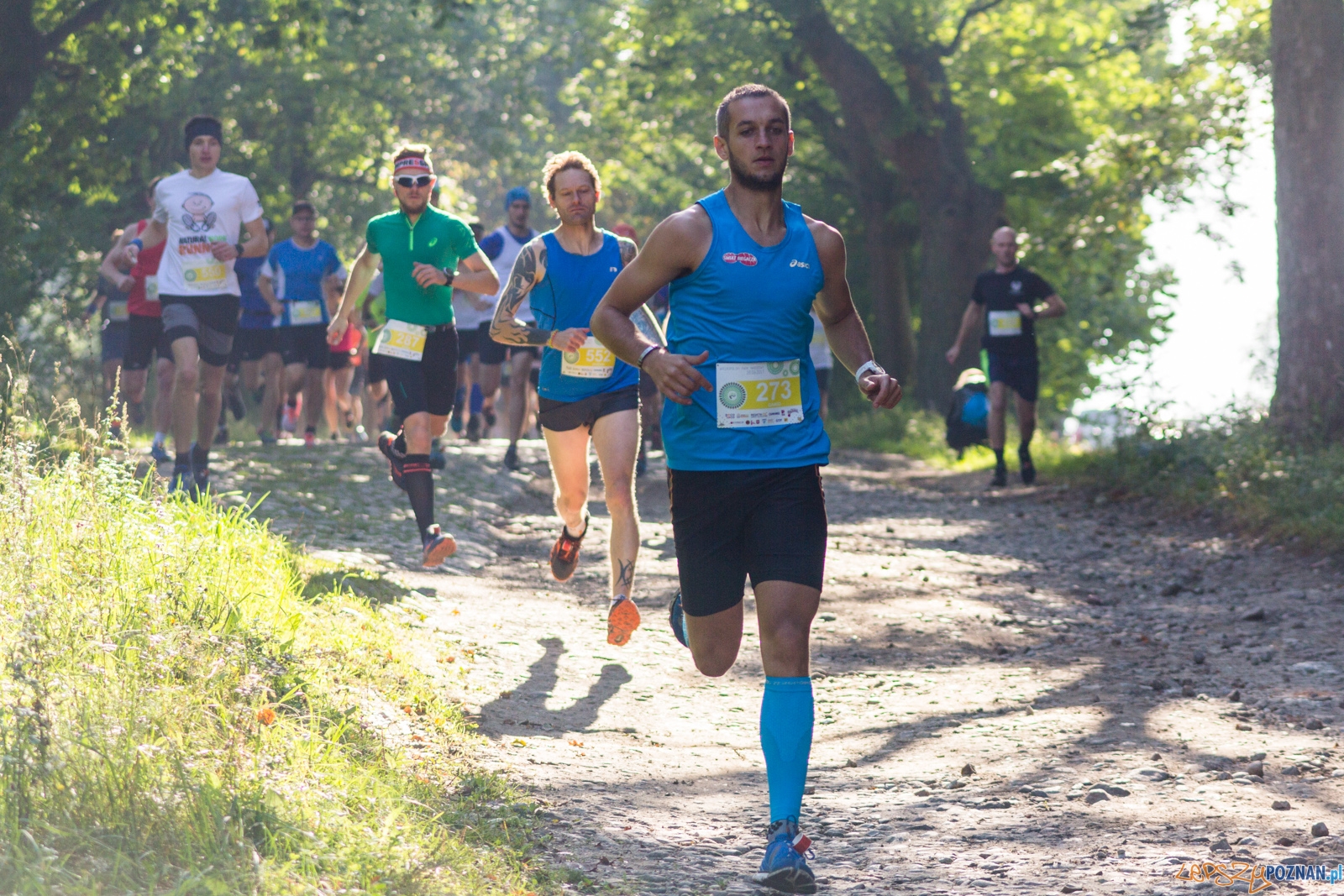Forest Run Foto: lepszyPOZNAN.pl / Ewelina Jaskowiak Forest Run Foto: lepszyPOZNAN.pl / Ewelina Jaskowiak