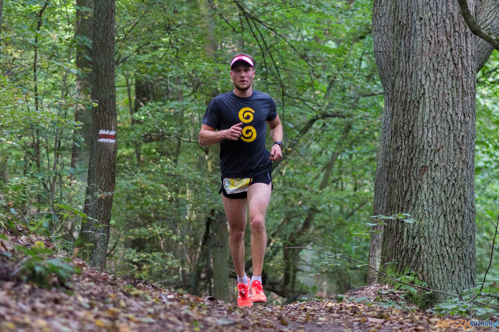 Forest Run Foto: lepszyPOZNAN.pl / Ewelina Jaskowiak Forest Run Foto: lepszyPOZNAN.pl / Ewelina Jaskowiak