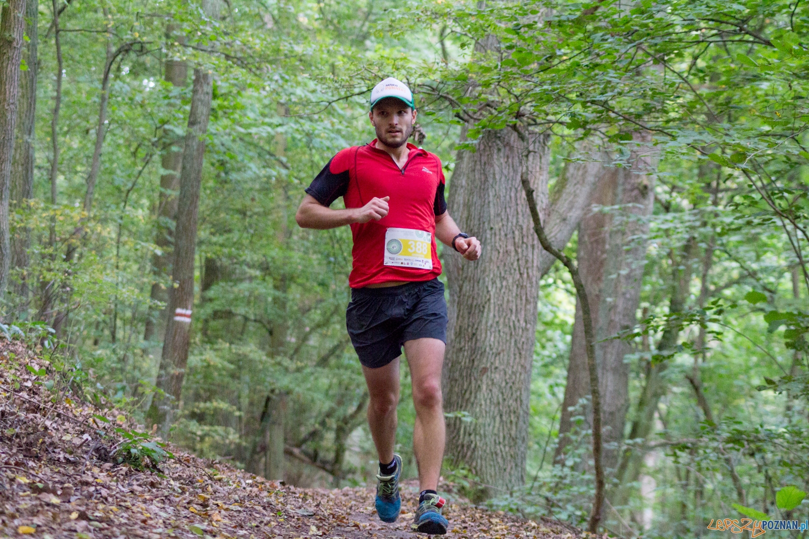 Forest Run Foto: lepszyPOZNAN.pl / Ewelina Jaskowiak Forest Run Foto: lepszyPOZNAN.pl / Ewelina Jaskowiak