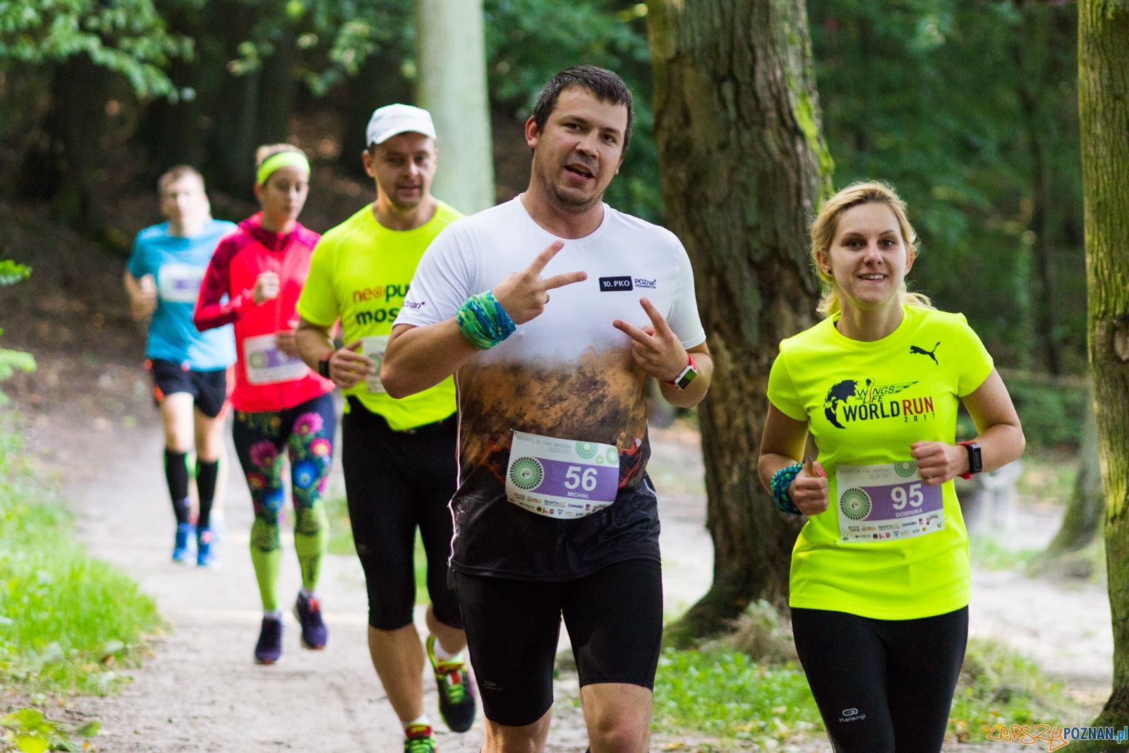 Forest Run Foto: lepszyPOZNAN.pl / Ewelina Jaskowiak Forest Run Foto: lepszyPOZNAN.pl / Ewelina Jaskowiak
