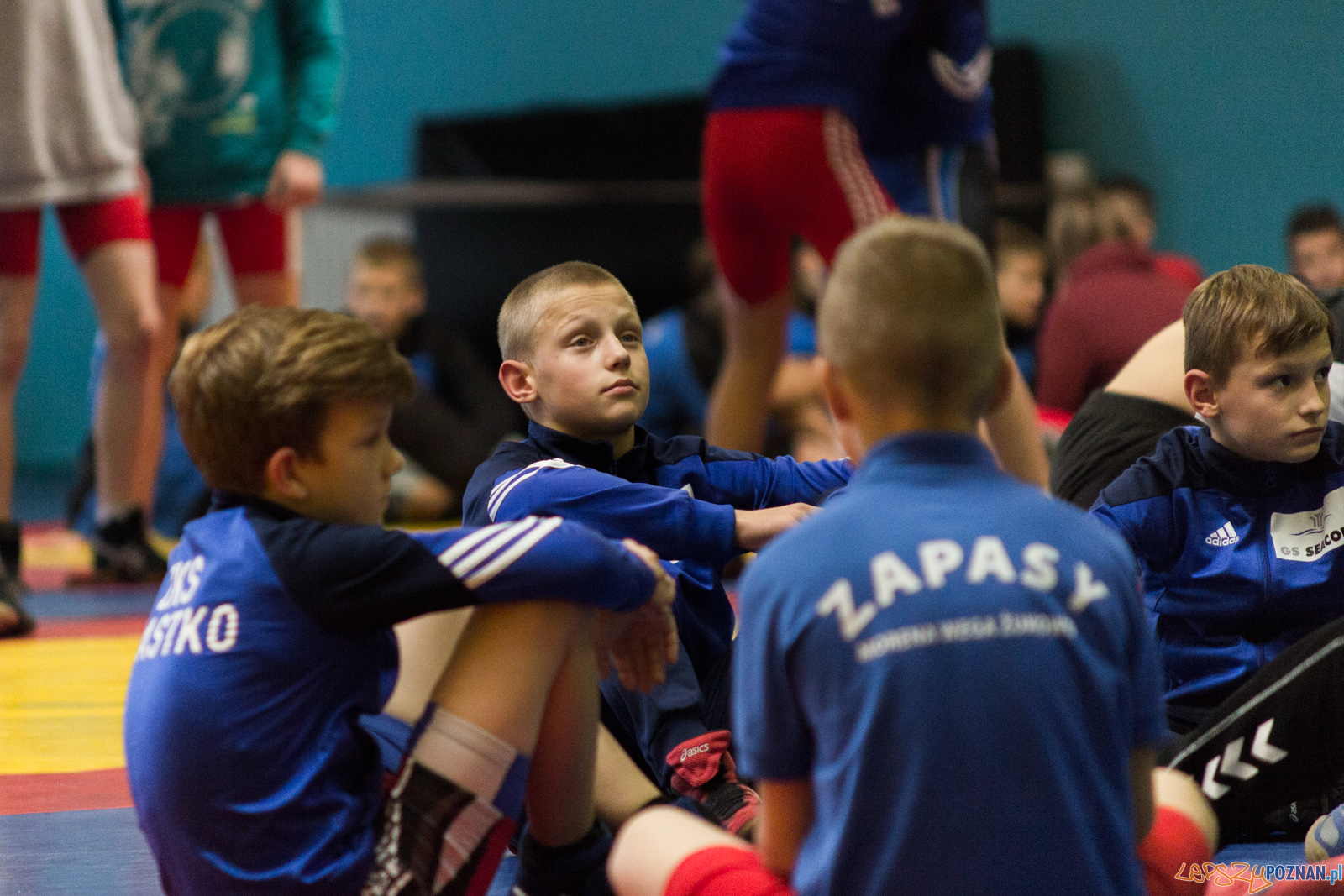 Międzywojewódzkie Mistrzostwa Młodzików Zapasy Styl Klasyczn Foto: lepszyPOZNAN.pl / Ewelina Jaskowiak Międzywojewódzkie Mistrzostwa Młodzików Zapasy Styl Klasyczn Foto: lepszyPOZNAN.pl / Ewelina Jaskowiak