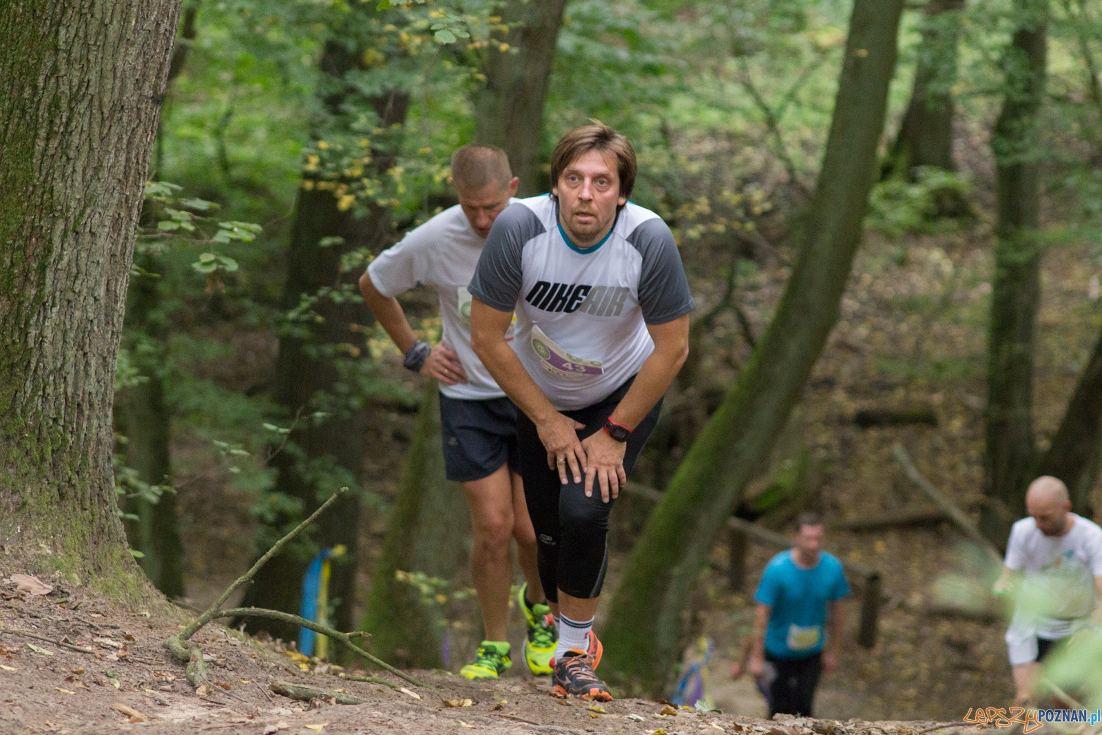 Forest Run Foto: lepszyPOZNAN.pl / Ewelina Jaskowiak Forest Run Foto: lepszyPOZNAN.pl / Ewelina Jaskowiak
