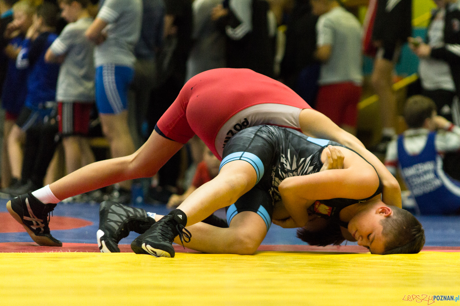 Międzywojewódzkie Mistrzostwa Młodzików Zapasy Styl Klasyczn Foto: lepszyPOZNAN.pl / Ewelina Jaskowiak Międzywojewódzkie Mistrzostwa Młodzików Zapasy Styl Klasyczn Foto: lepszyPOZNAN.pl / Ewelina Jaskowiak