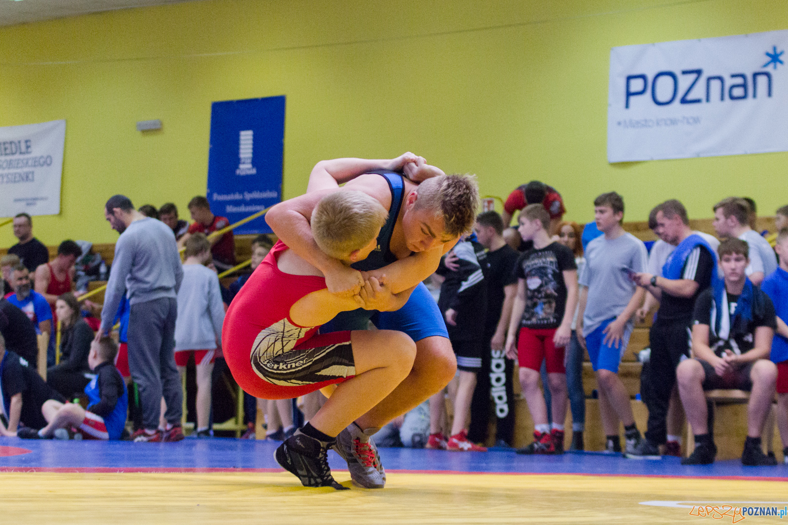 Międzywojewódzkie Mistrzostwa Młodzików Zapasy Styl Klasyczn Foto: lepszyPOZNAN.pl / Ewelina Jaskowiak Międzywojewódzkie Mistrzostwa Młodzików Zapasy Styl Klasyczn Foto: lepszyPOZNAN.pl / Ewelina Jaskowiak
