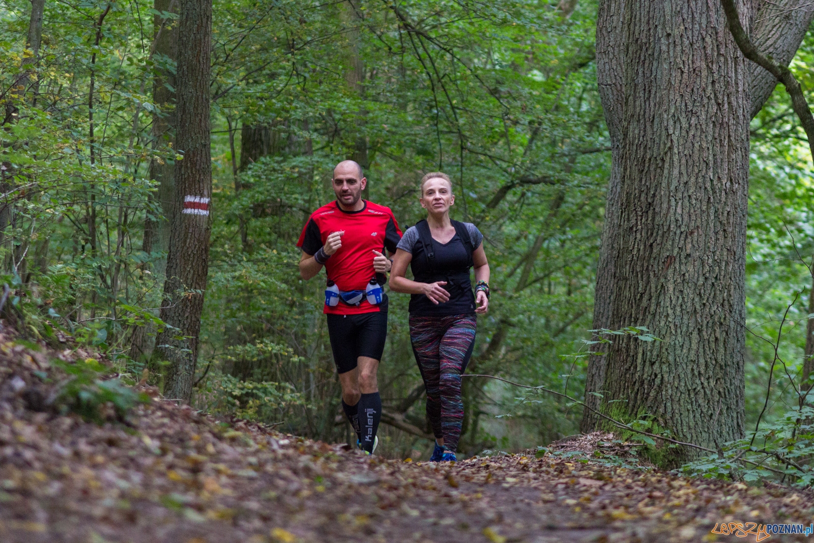 Forest Run Foto: lepszyPOZNAN.pl / Ewelina Jaskowiak Forest Run Foto: lepszyPOZNAN.pl / Ewelina Jaskowiak