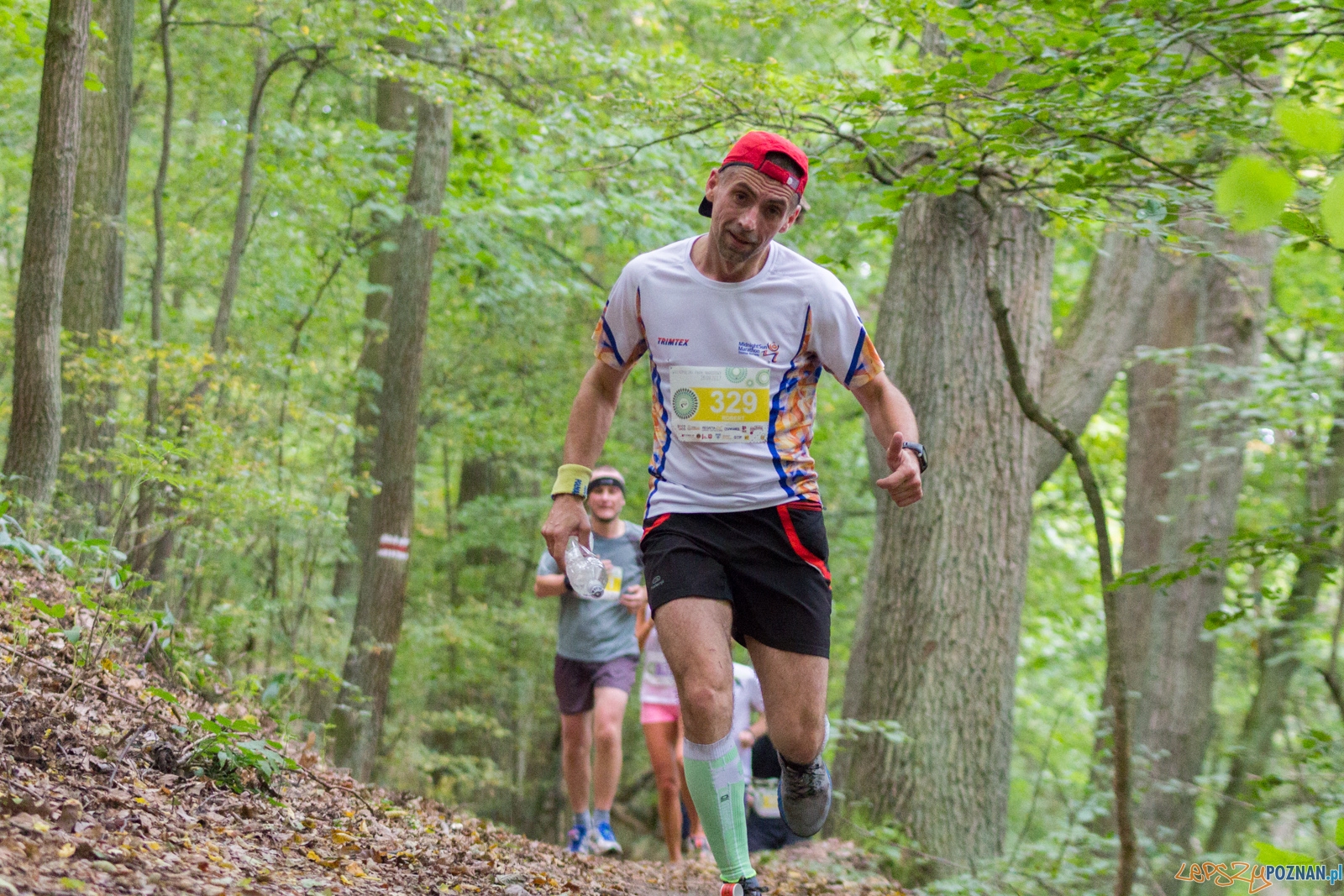 Forest Run Foto: lepszyPOZNAN.pl / Ewelina Jaskowiak Forest Run Foto: lepszyPOZNAN.pl / Ewelina Jaskowiak
