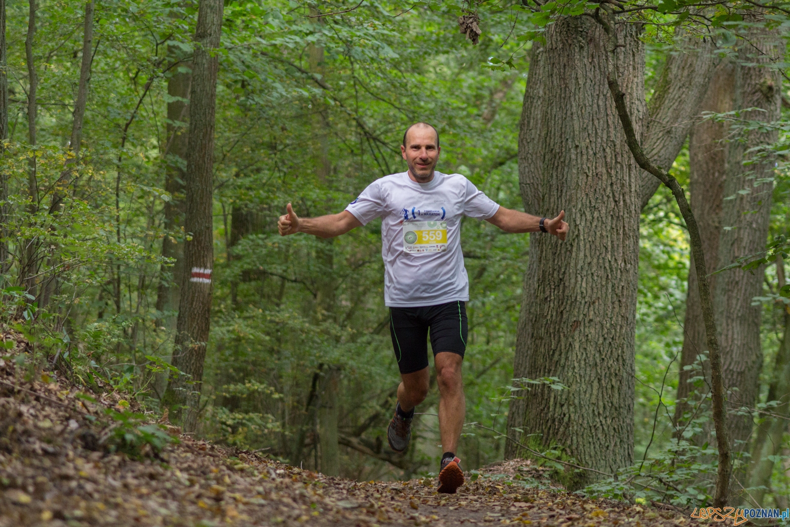 Forest Run Foto: lepszyPOZNAN.pl / Ewelina Jaskowiak Forest Run Foto: lepszyPOZNAN.pl / Ewelina Jaskowiak