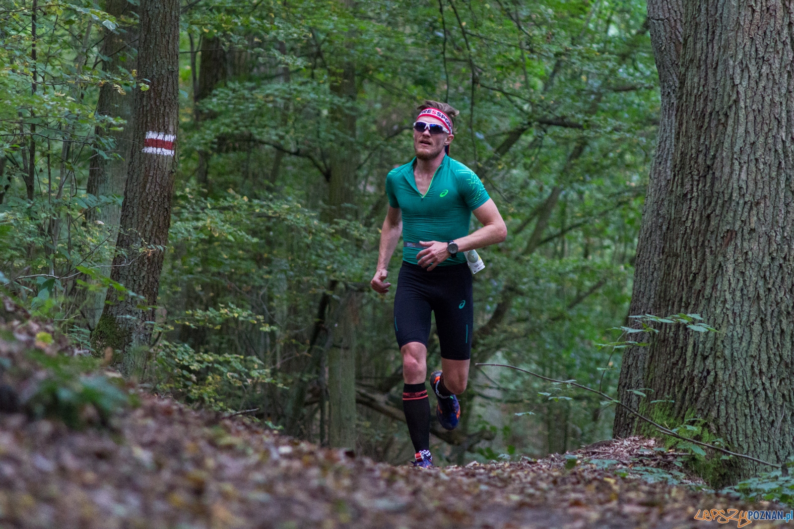 Forest Run Foto: lepszyPOZNAN.pl / Ewelina Jaskowiak Forest Run Foto: lepszyPOZNAN.pl / Ewelina Jaskowiak
