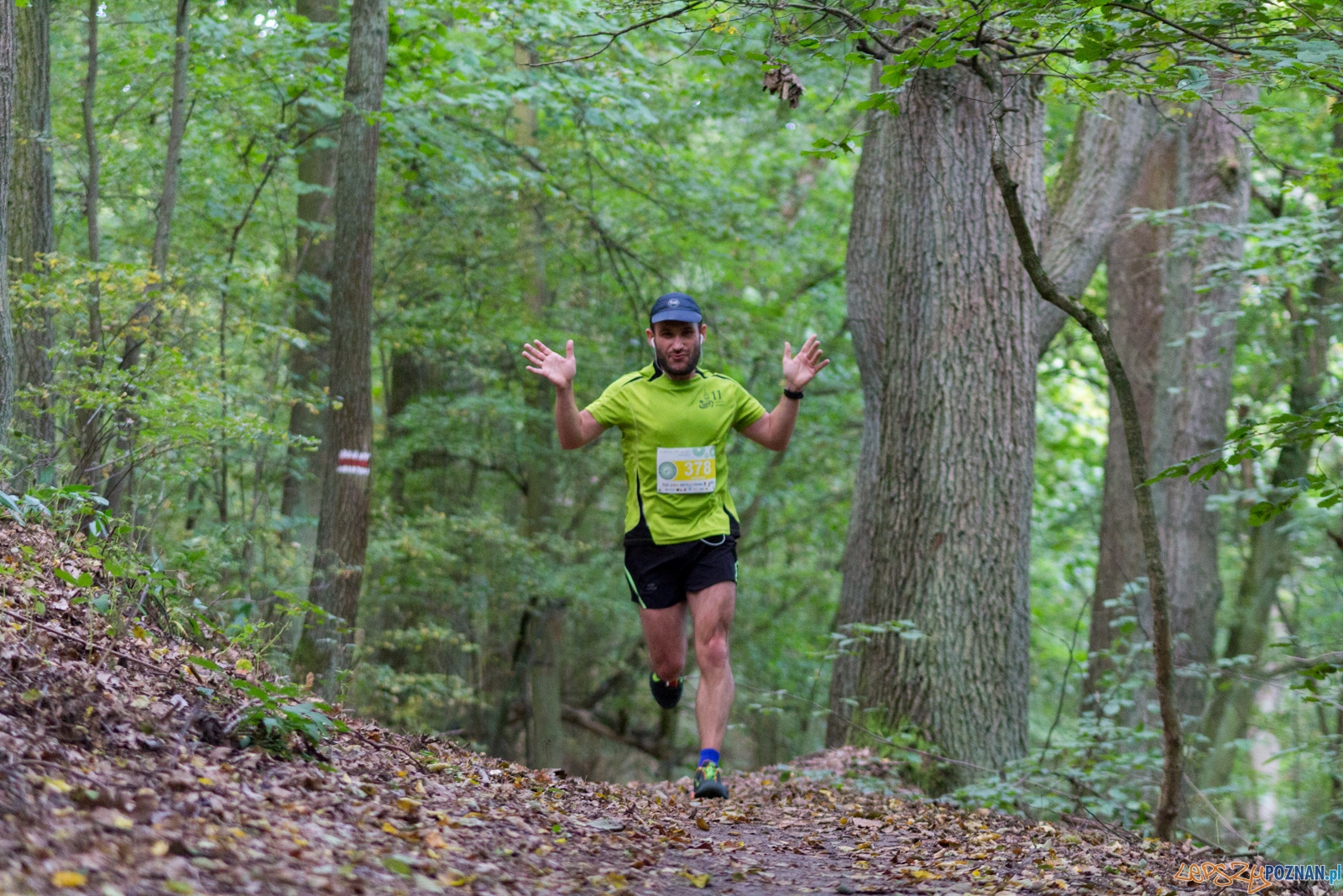 Forest Run Foto: lepszyPOZNAN.pl / Ewelina Jaskowiak Forest Run Foto: lepszyPOZNAN.pl / Ewelina Jaskowiak