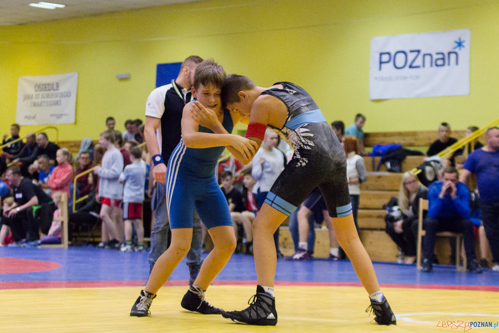 Międzywojewódzkie Mistrzostwa Młodzików Zapasy Styl Klasyczn Foto: lepszyPOZNAN.pl / Ewelina Jaskowiak Międzywojewódzkie Mistrzostwa Młodzików Zapasy Styl Klasyczn Foto: lepszyPOZNAN.pl / Ewelina Jaskowiak