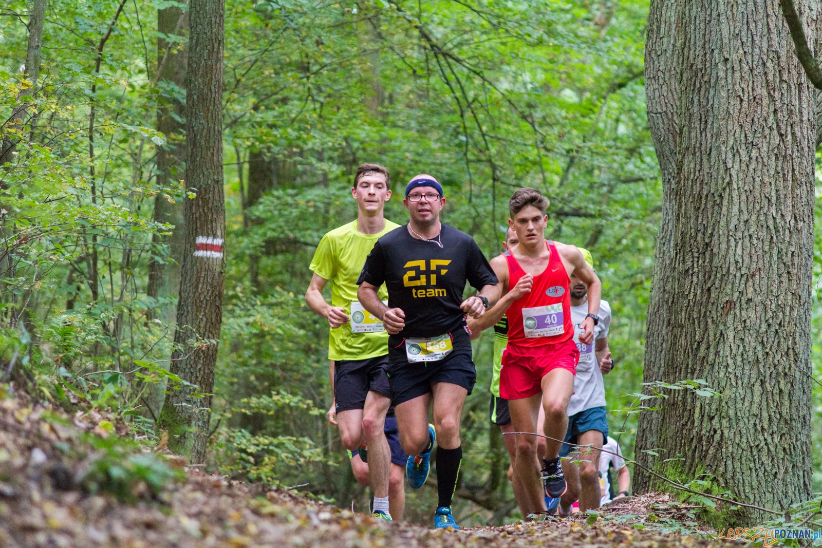 Forest Run Foto: lepszyPOZNAN.pl / Ewelina Jaskowiak Forest Run Foto: lepszyPOZNAN.pl / Ewelina Jaskowiak