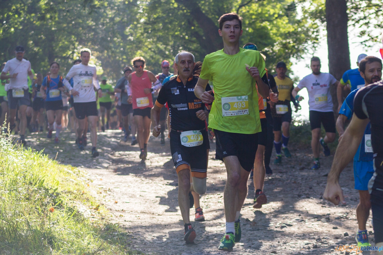 Forest Run Foto: lepszyPOZNAN.pl / Ewelina Jaskowiak Forest Run Foto: lepszyPOZNAN.pl / Ewelina Jaskowiak