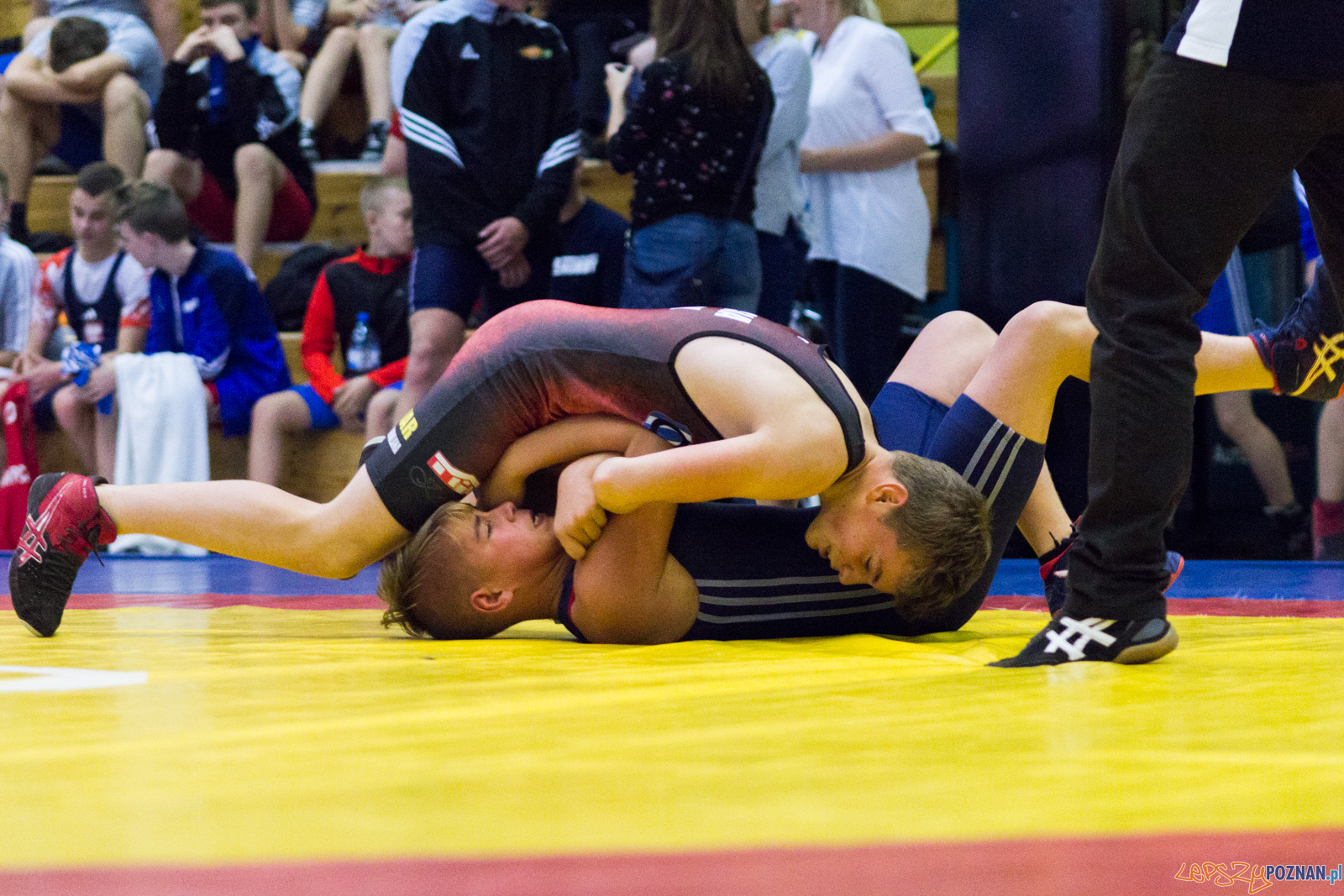 Międzywojewódzkie Mistrzostwa Młodzików Zapasy Styl Klasyczn Foto: lepszyPOZNAN.pl / Ewelina Jaskowiak Międzywojewódzkie Mistrzostwa Młodzików Zapasy Styl Klasyczn Foto: lepszyPOZNAN.pl / Ewelina Jaskowiak