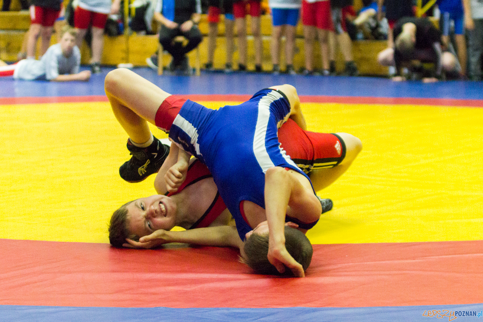Międzywojewódzkie Mistrzostwa Młodzików Zapasy Styl Klasyczn Foto: lepszyPOZNAN.pl / Ewelina Jaskowiak Międzywojewódzkie Mistrzostwa Młodzików Zapasy Styl Klasyczn Foto: lepszyPOZNAN.pl / Ewelina Jaskowiak