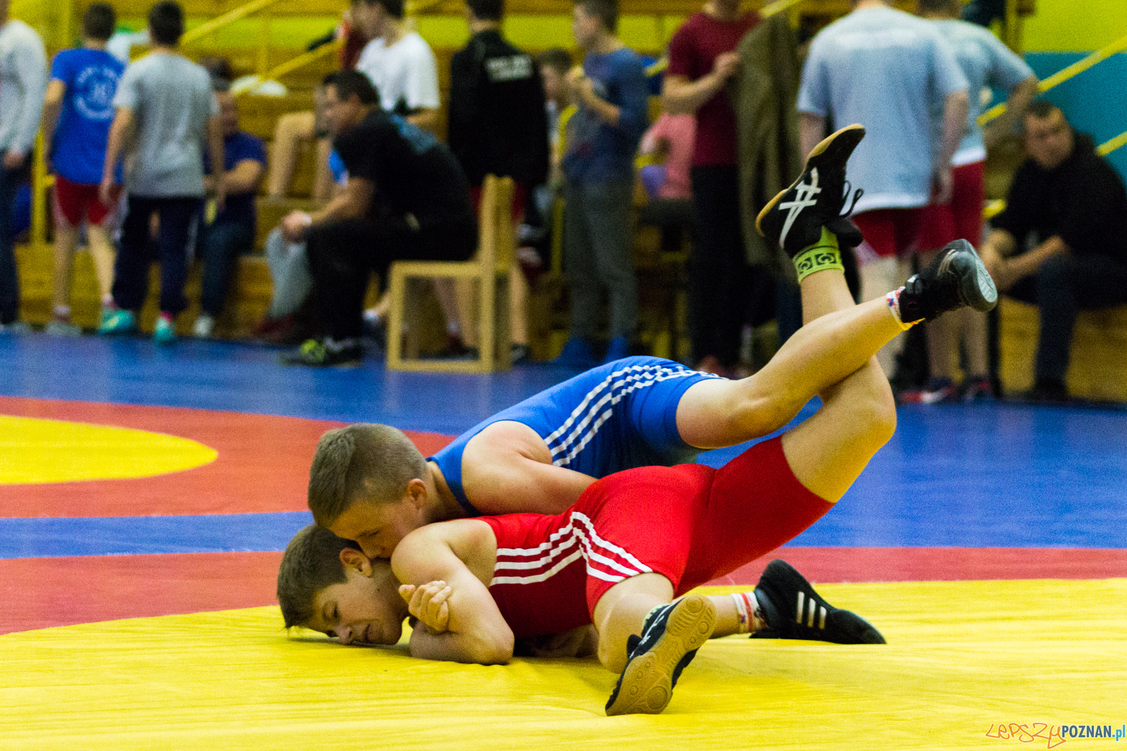 Międzywojewódzkie Mistrzostwa Młodzików Zapasy Styl Klasyczn Foto: lepszyPOZNAN.pl / Ewelina Jaskowiak Międzywojewódzkie Mistrzostwa Młodzików Zapasy Styl Klasyczn Foto: lepszyPOZNAN.pl / Ewelina Jaskowiak
