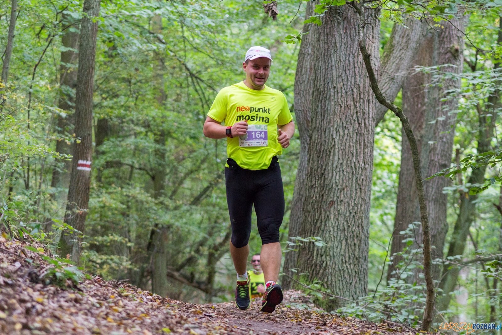 Forest Run Foto: lepszyPOZNAN.pl / Ewelina Jaskowiak Forest Run Foto: lepszyPOZNAN.pl / Ewelina Jaskowiak